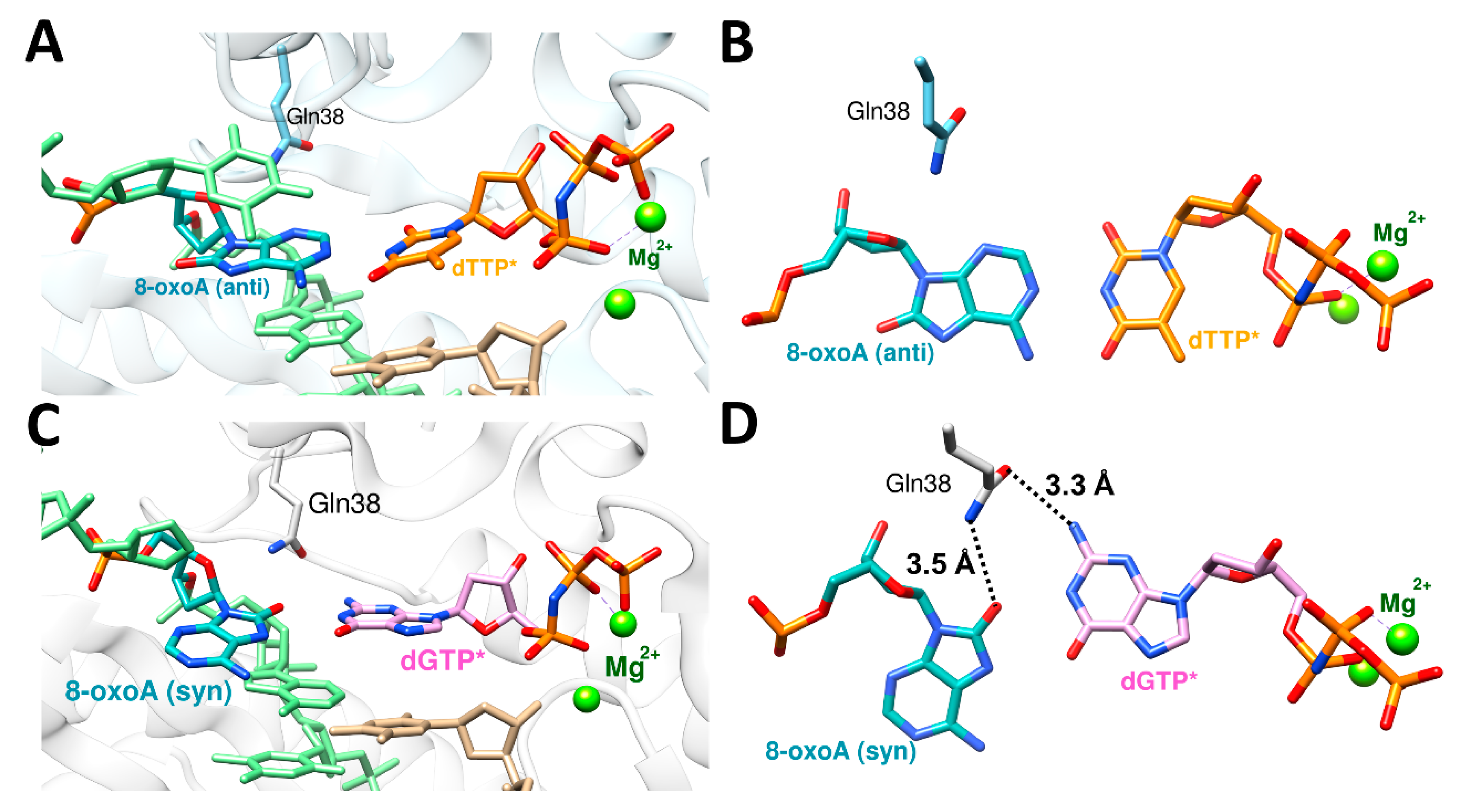 Dna 02 00015 g005 Dna 02 00015 g005