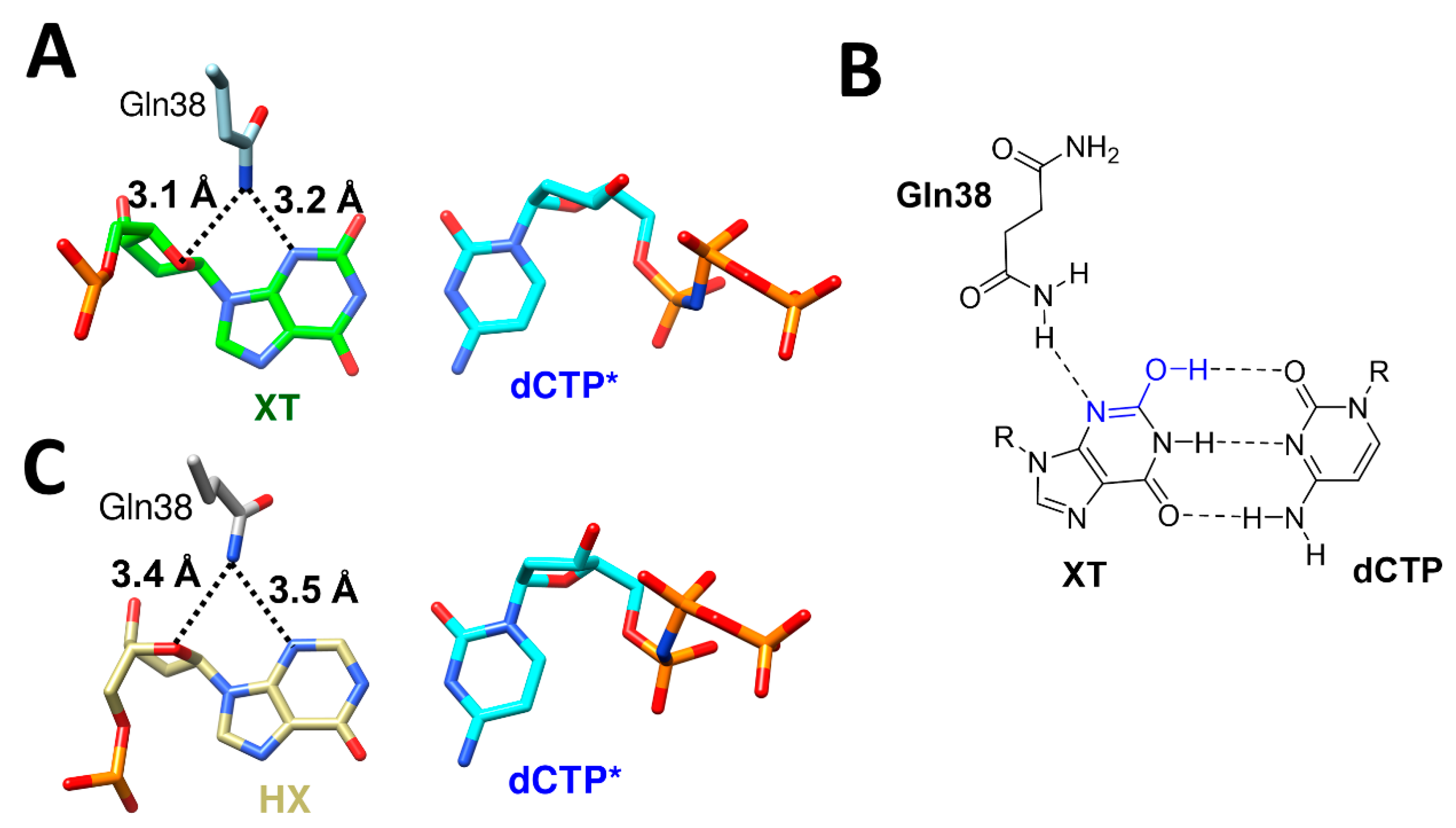 Dna 02 00015 g007 Dna 02 00015 g007
