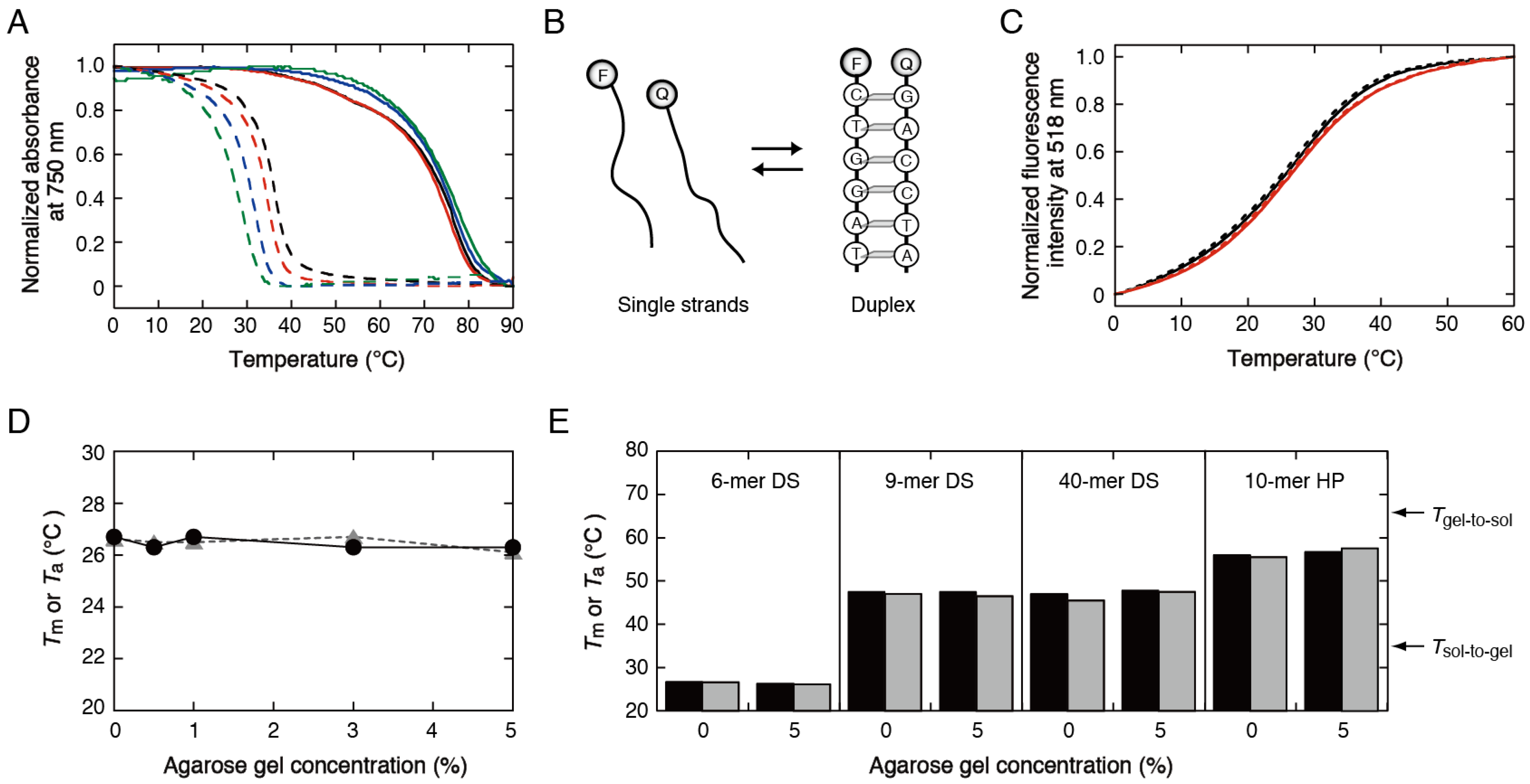 Dna 02 00021 g001 Dna 02 00021 g001