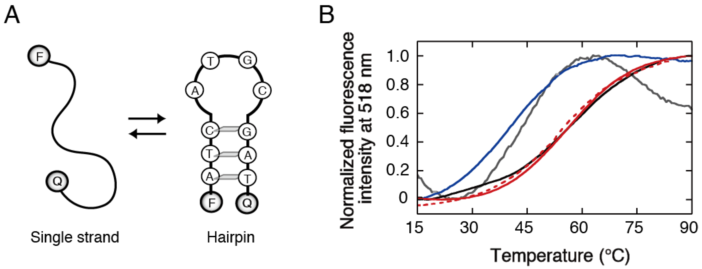 Dna 02 00021 g002 Dna 02 00021 g002