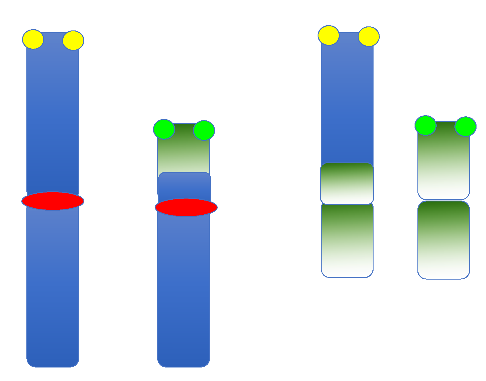 Dna 03 00004 g003 Dna 03 00004 g003