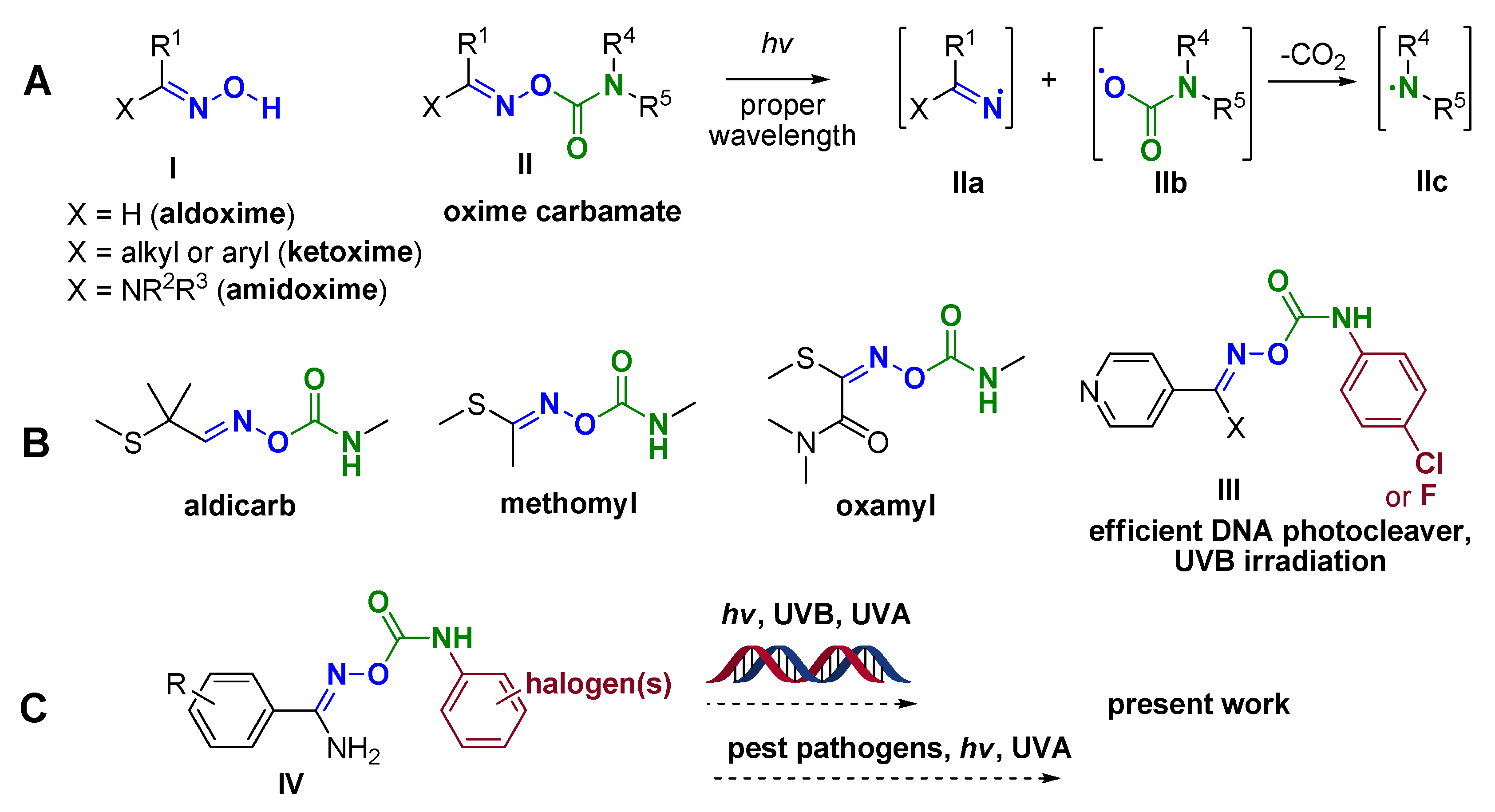 Dna 03 00006 g001 Dna 03 00006 g001