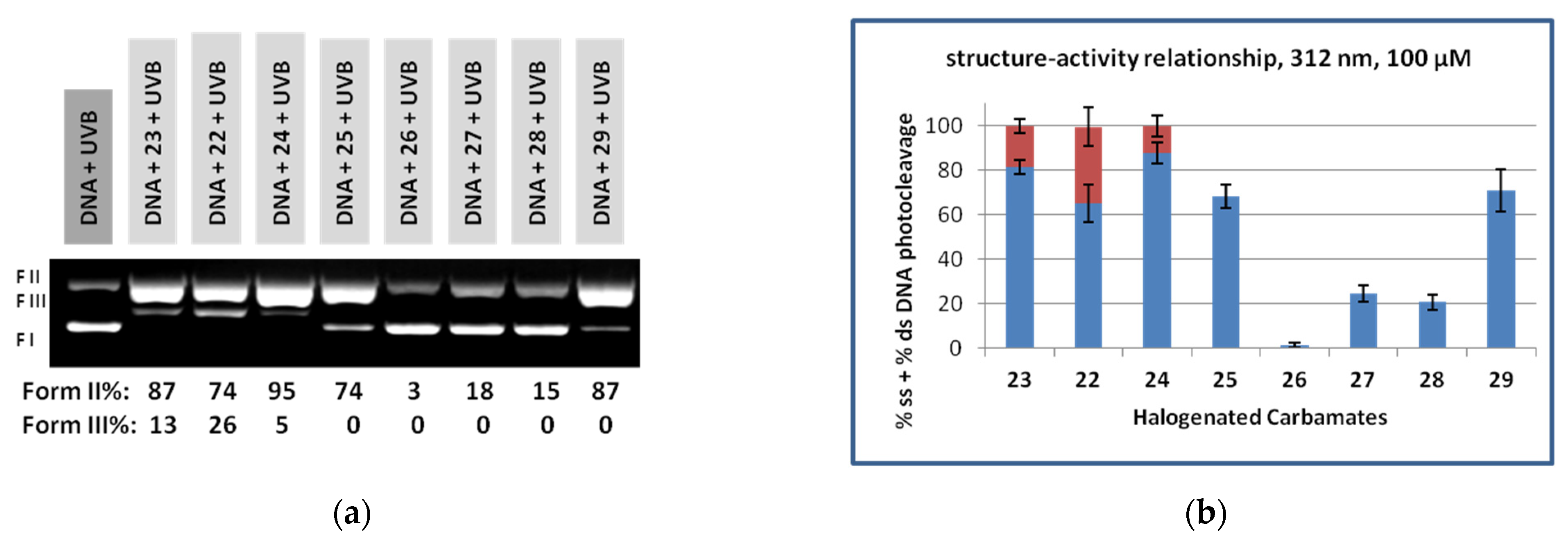 Dna 03 00006 g003 Dna 03 00006 g003