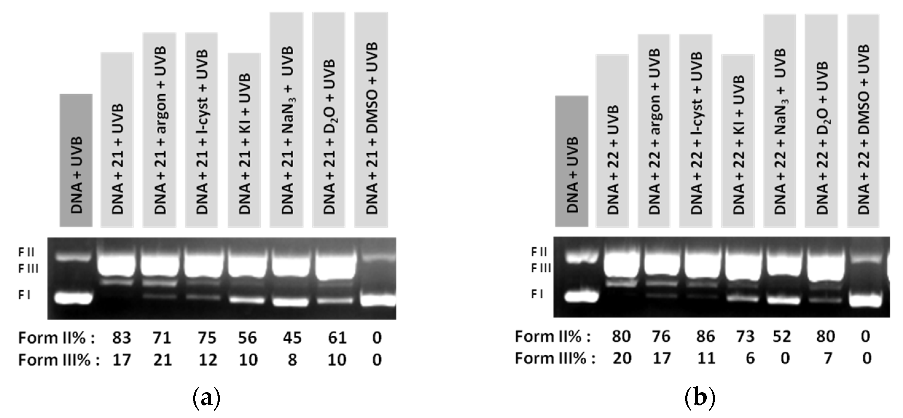 Dna 03 00006 g004 Dna 03 00006 g004