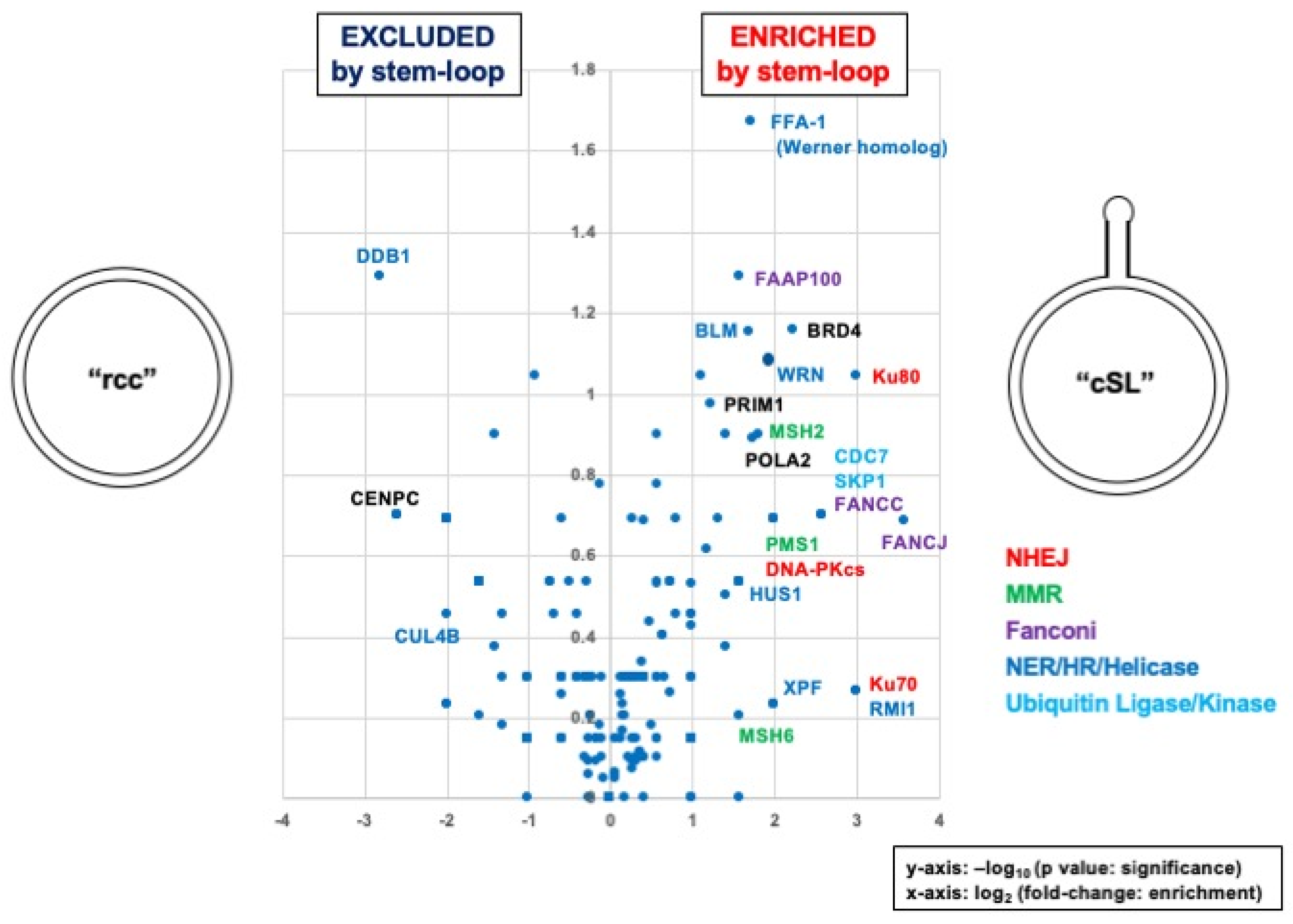 Dna 03 00009 g005 Dna 03 00009 g005