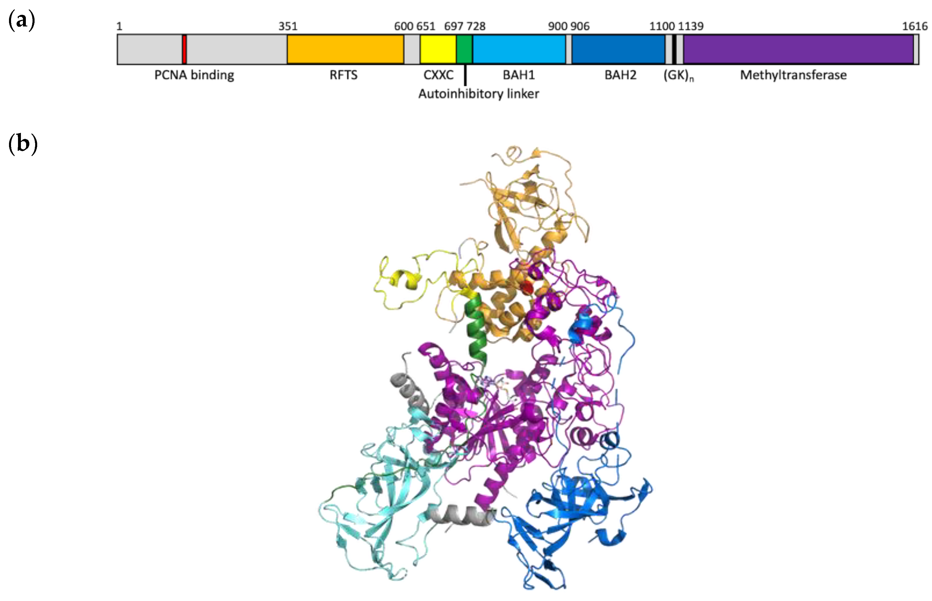 Dna 03 00010 g001 Dna 03 00010 g001