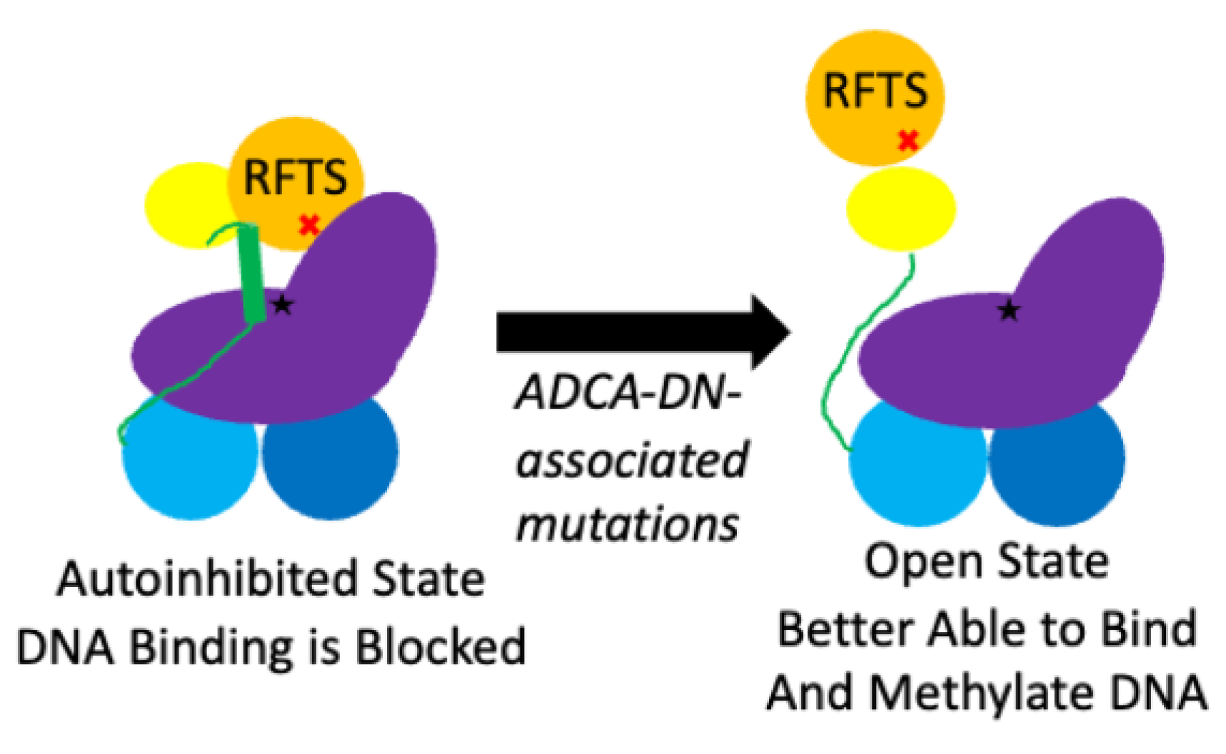 Dna 03 00010 g007 Dna 03 00010 g007