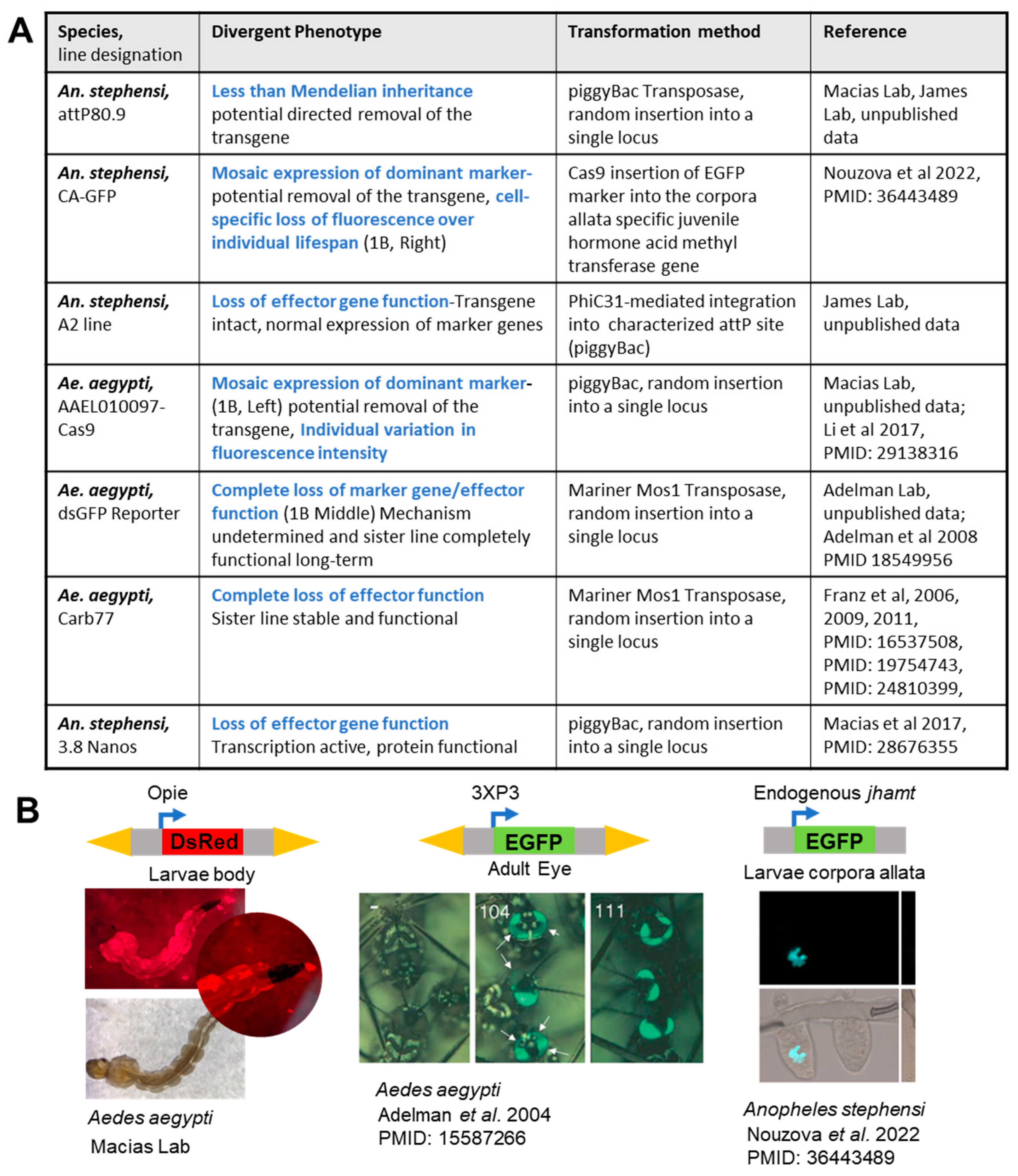 Dna 04 00006 g001 Dna 04 00006 g001