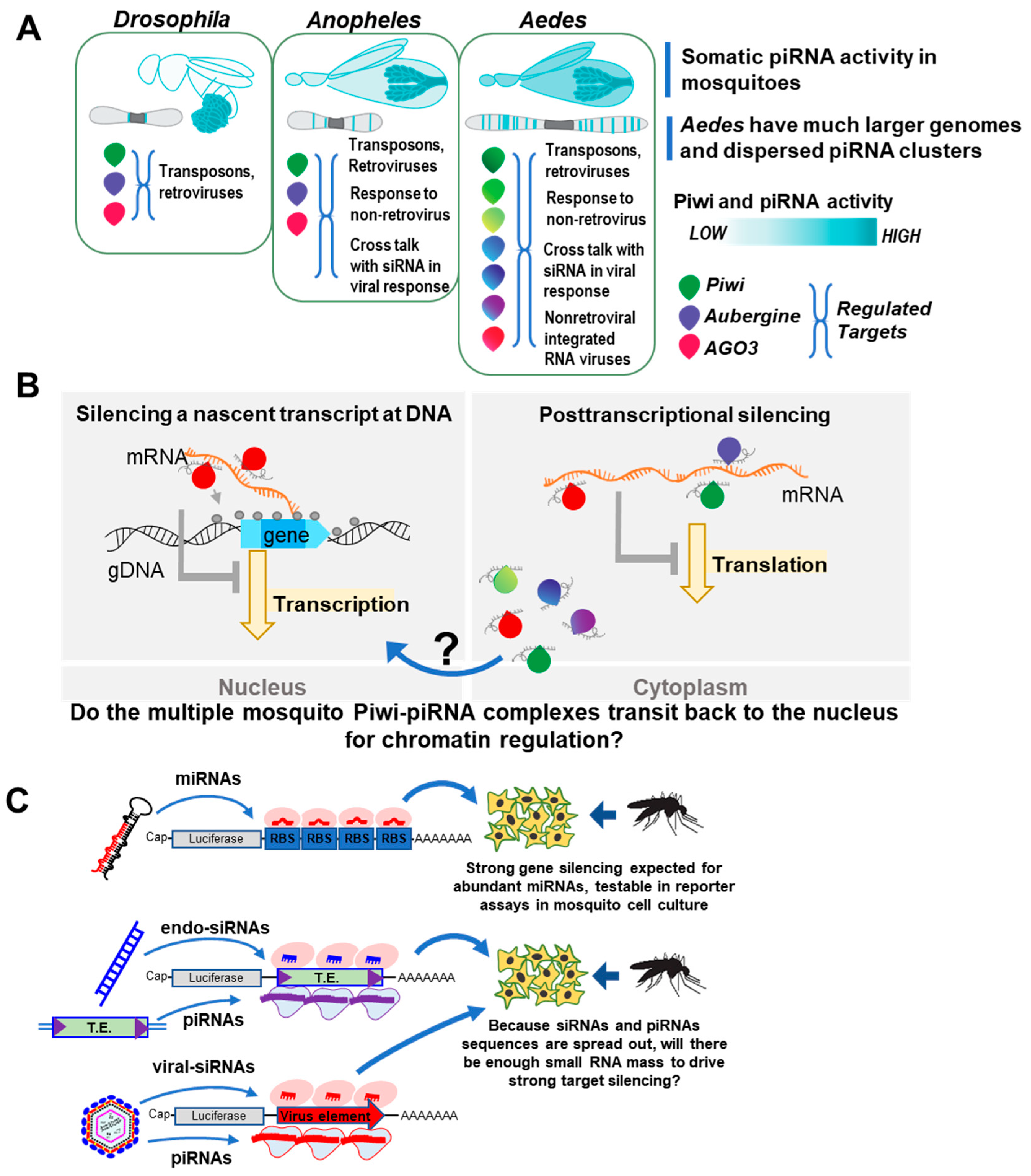 Dna 04 00006 g002 Dna 04 00006 g002