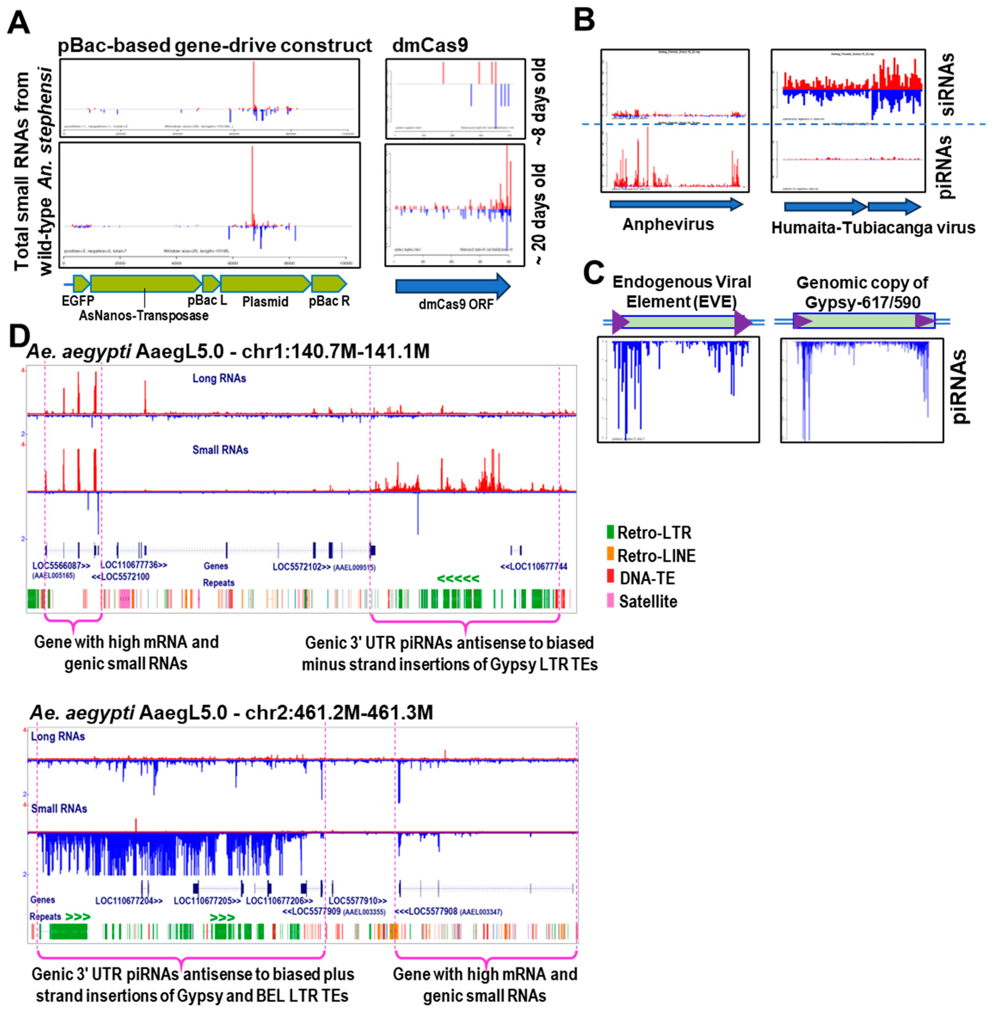 Dna 04 00006 g003 Dna 04 00006 g003