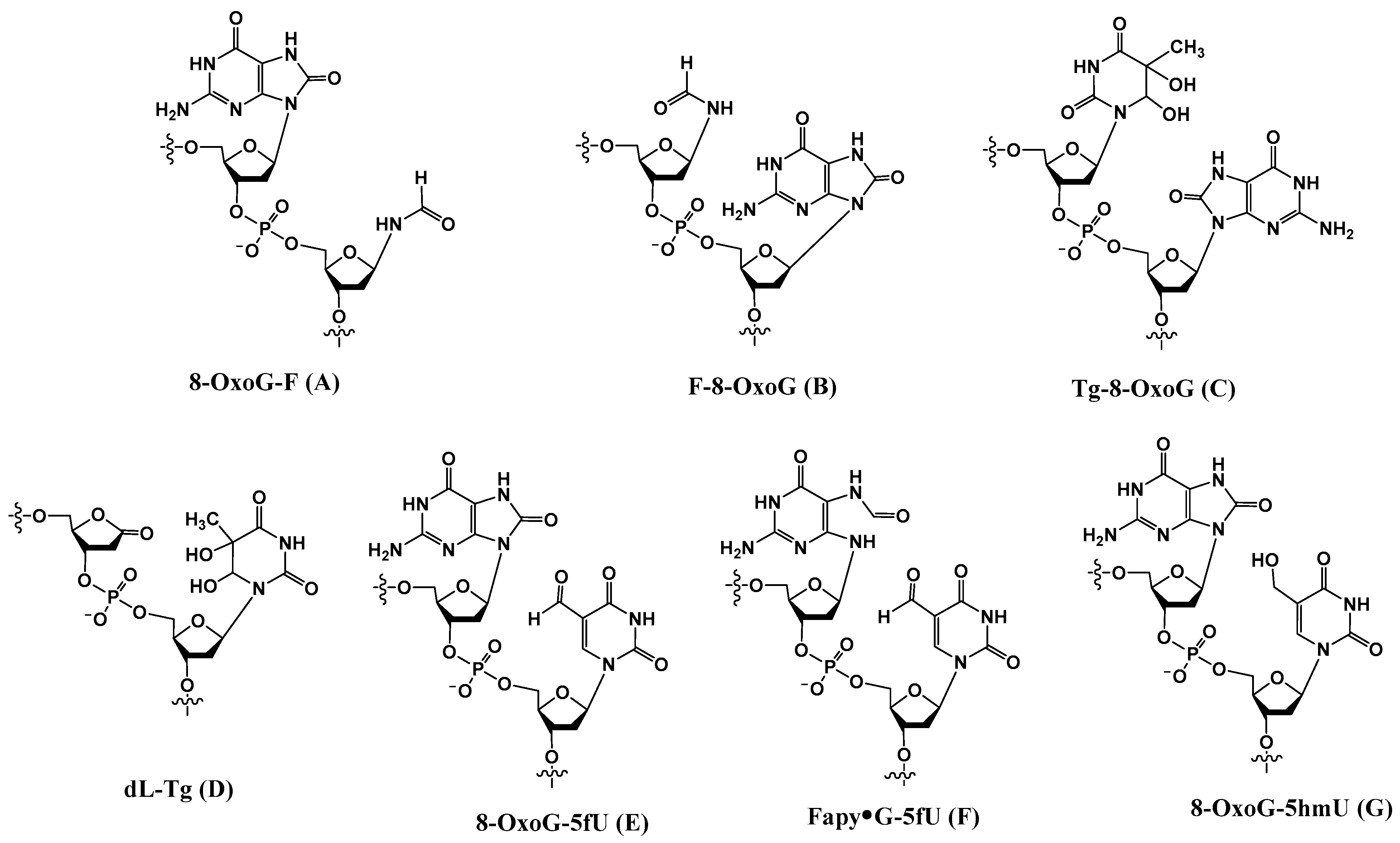 Dna 04 00009 g001 Dna 04 00009 g001