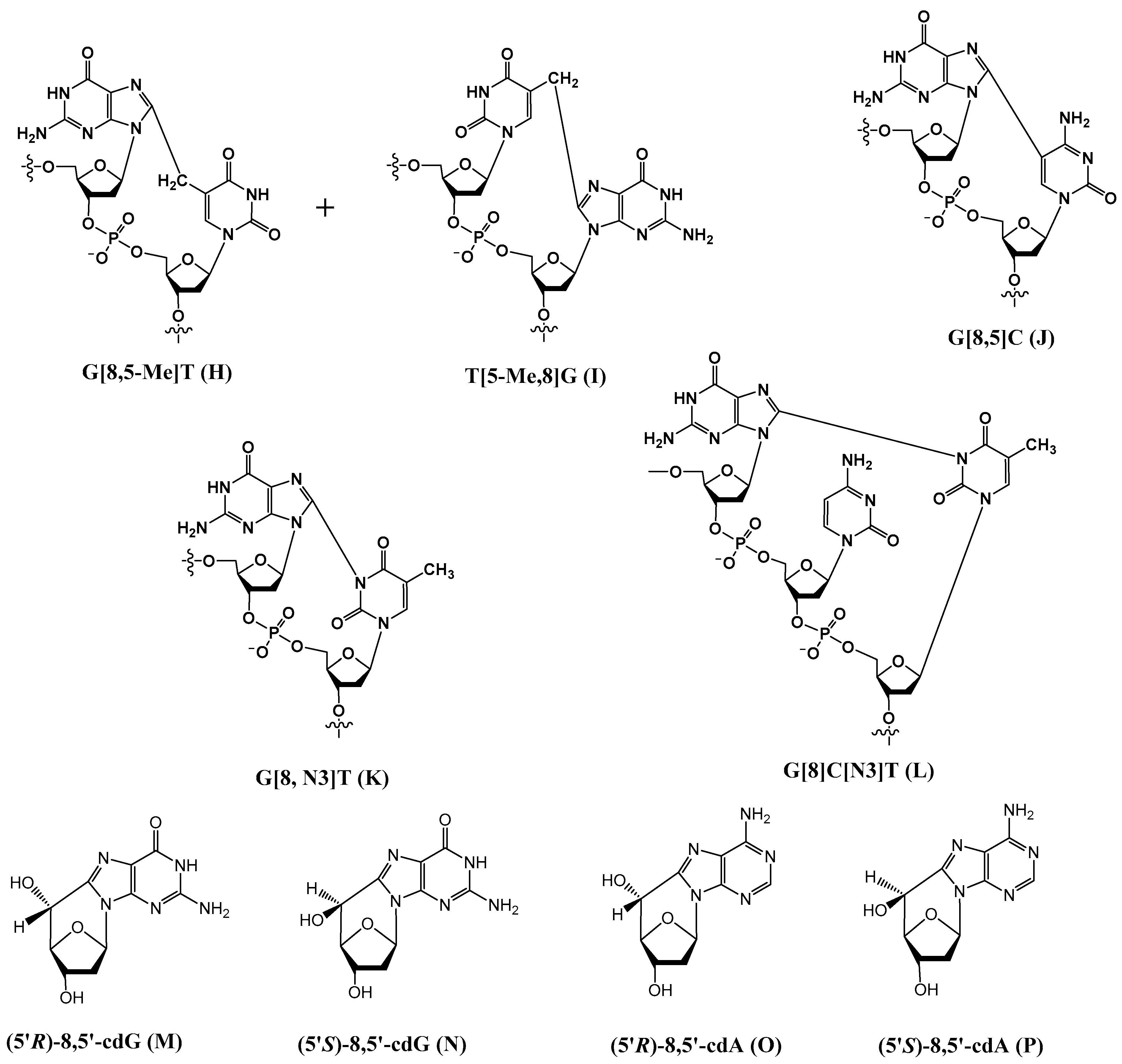 Dna 04 00009 g002 Dna 04 00009 g002