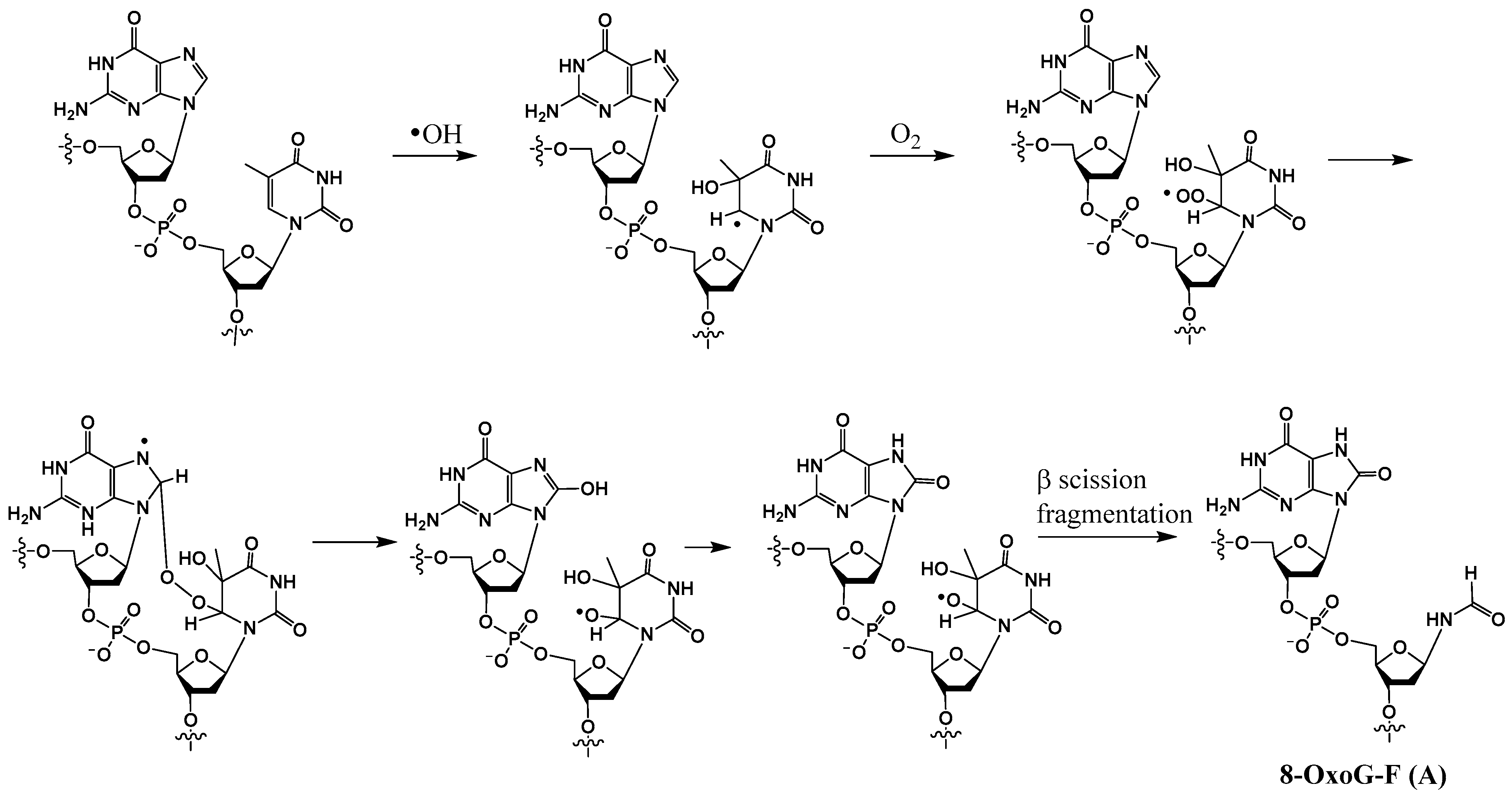 Dna 04 00009 sch004 Dna 04 00009 sch004