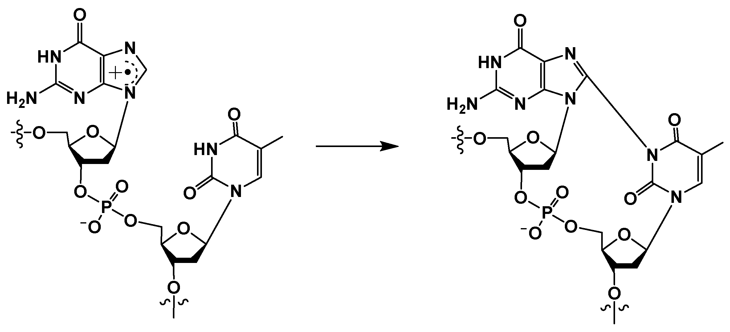Dna 04 00009 sch007 Dna 04 00009 sch007