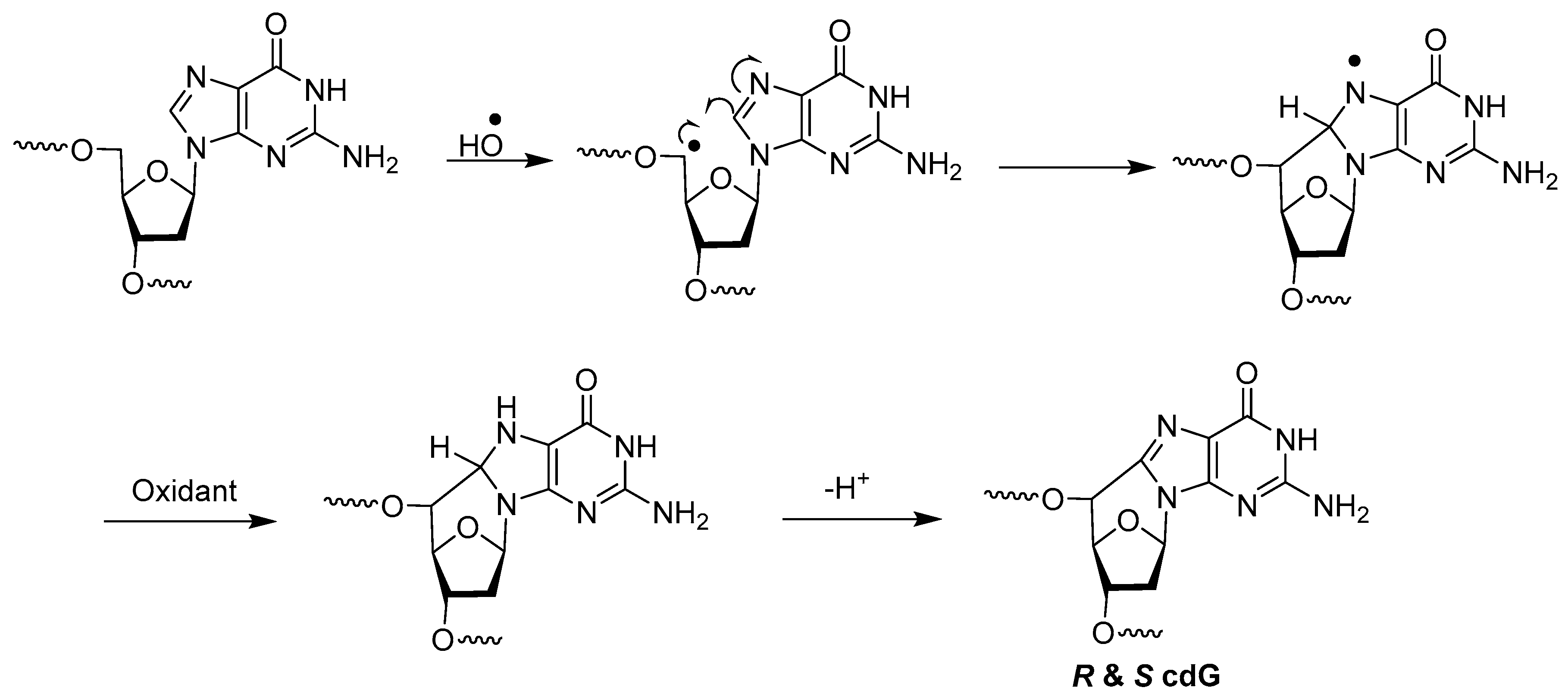 Dna 04 00009 sch008 Dna 04 00009 sch008