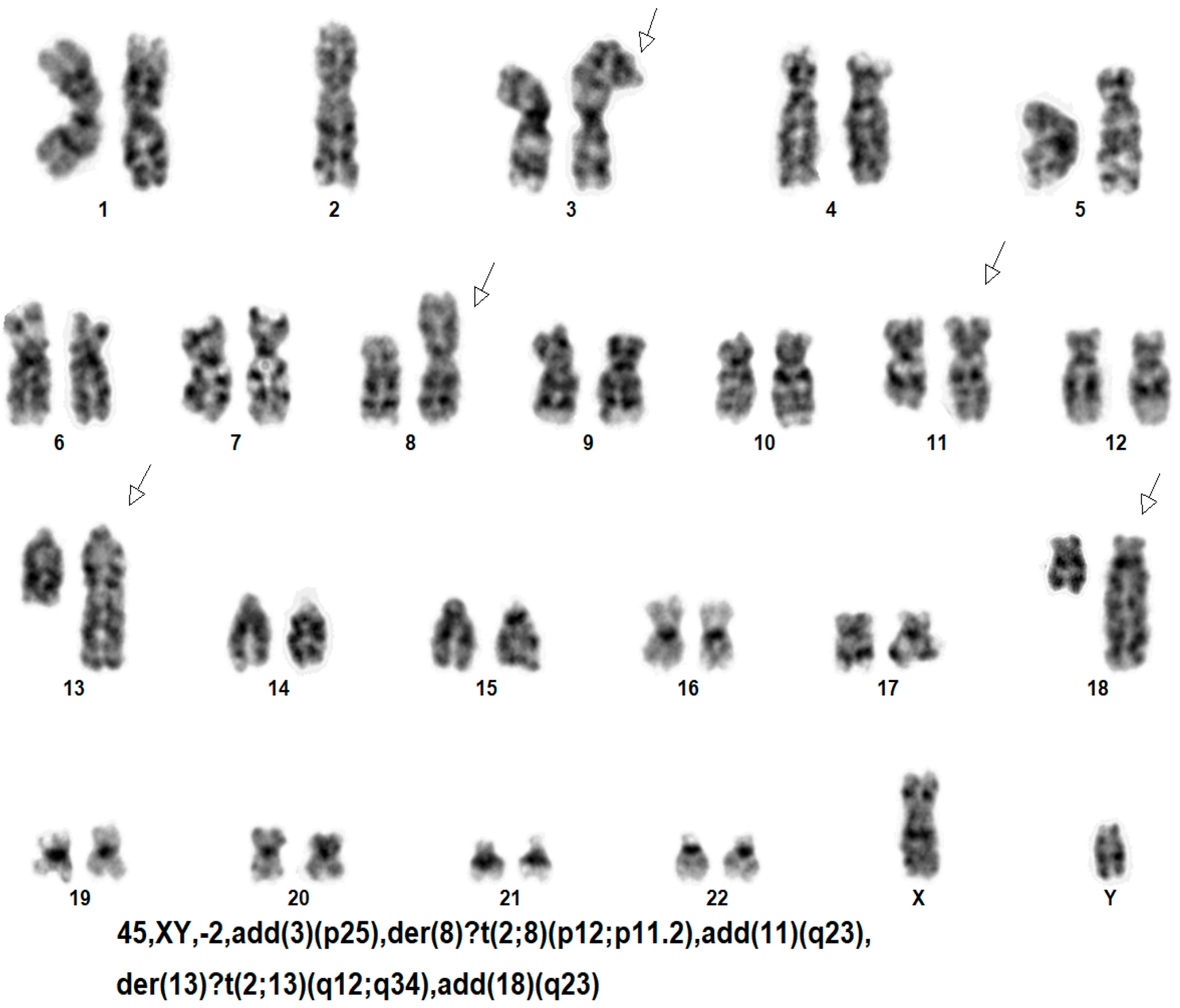 Dna 04 00021 g001 Dna 04 00021 g001