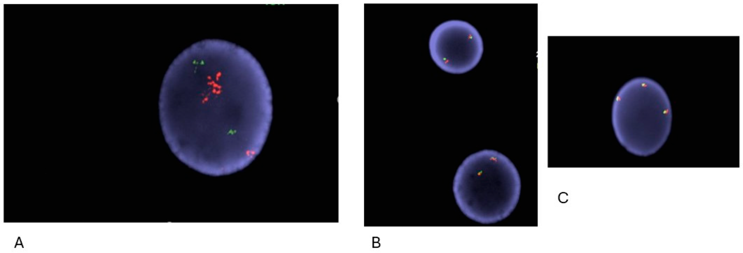 Dna 04 00021 g002 Dna 04 00021 g002