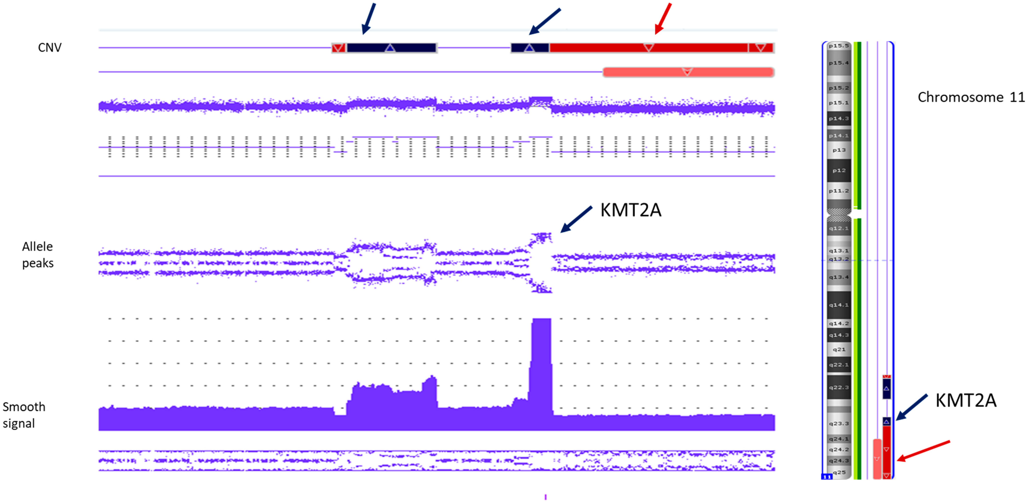 Dna 04 00021 g004 Dna 04 00021 g004