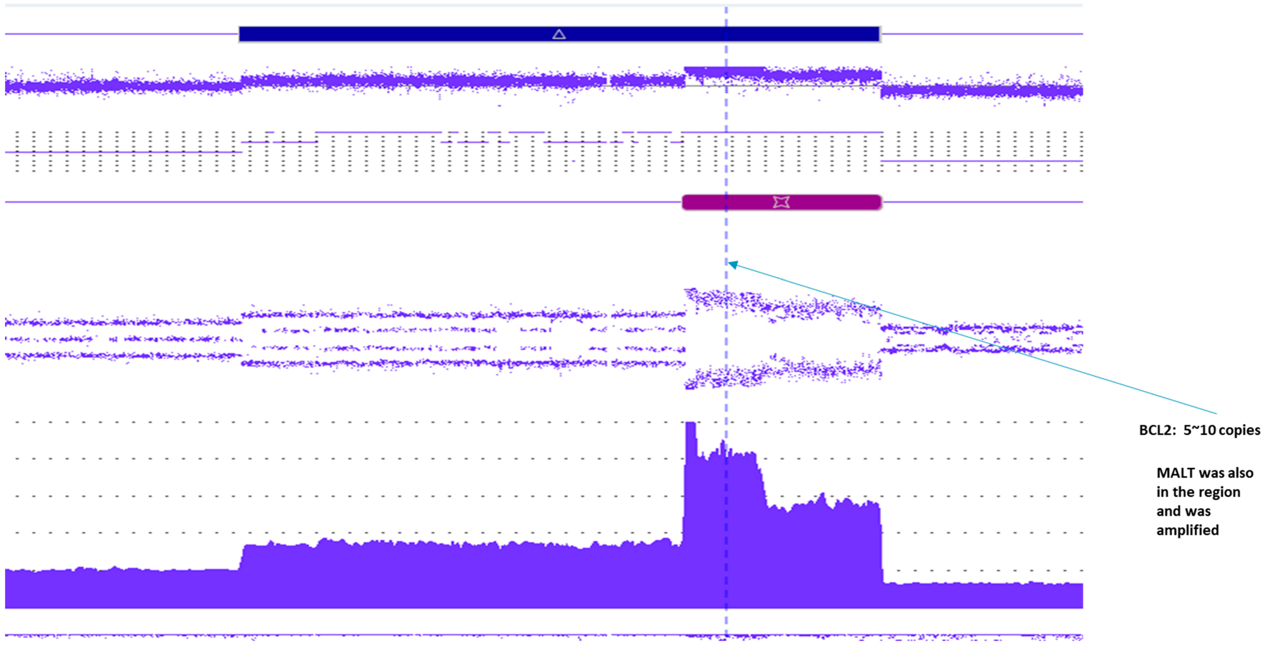 Dna 04 00021 g006 Dna 04 00021 g006