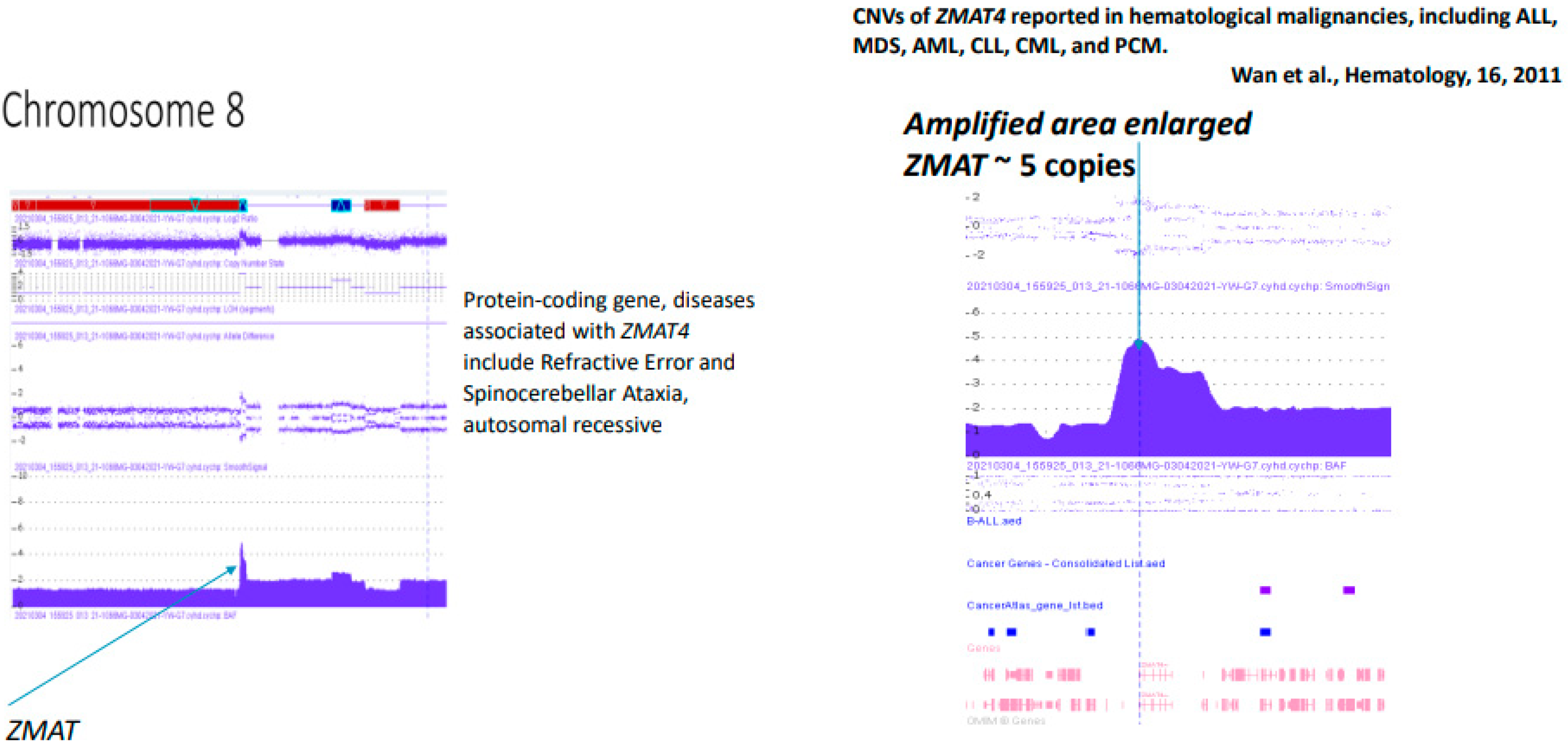 Dna 04 00021 g007 Dna 04 00021 g007