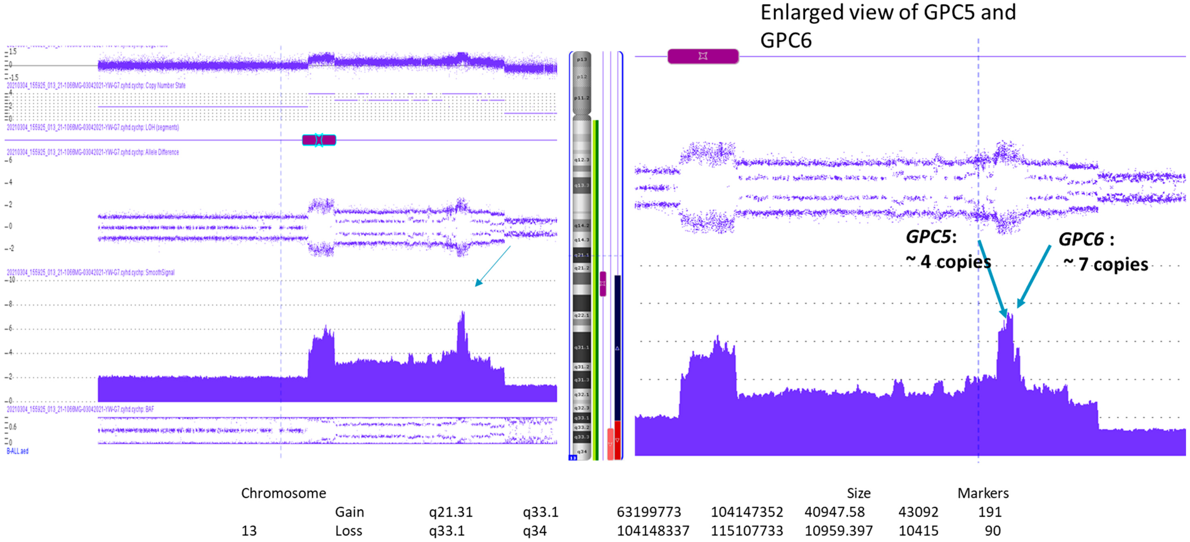Dna 04 00021 g008 Dna 04 00021 g008