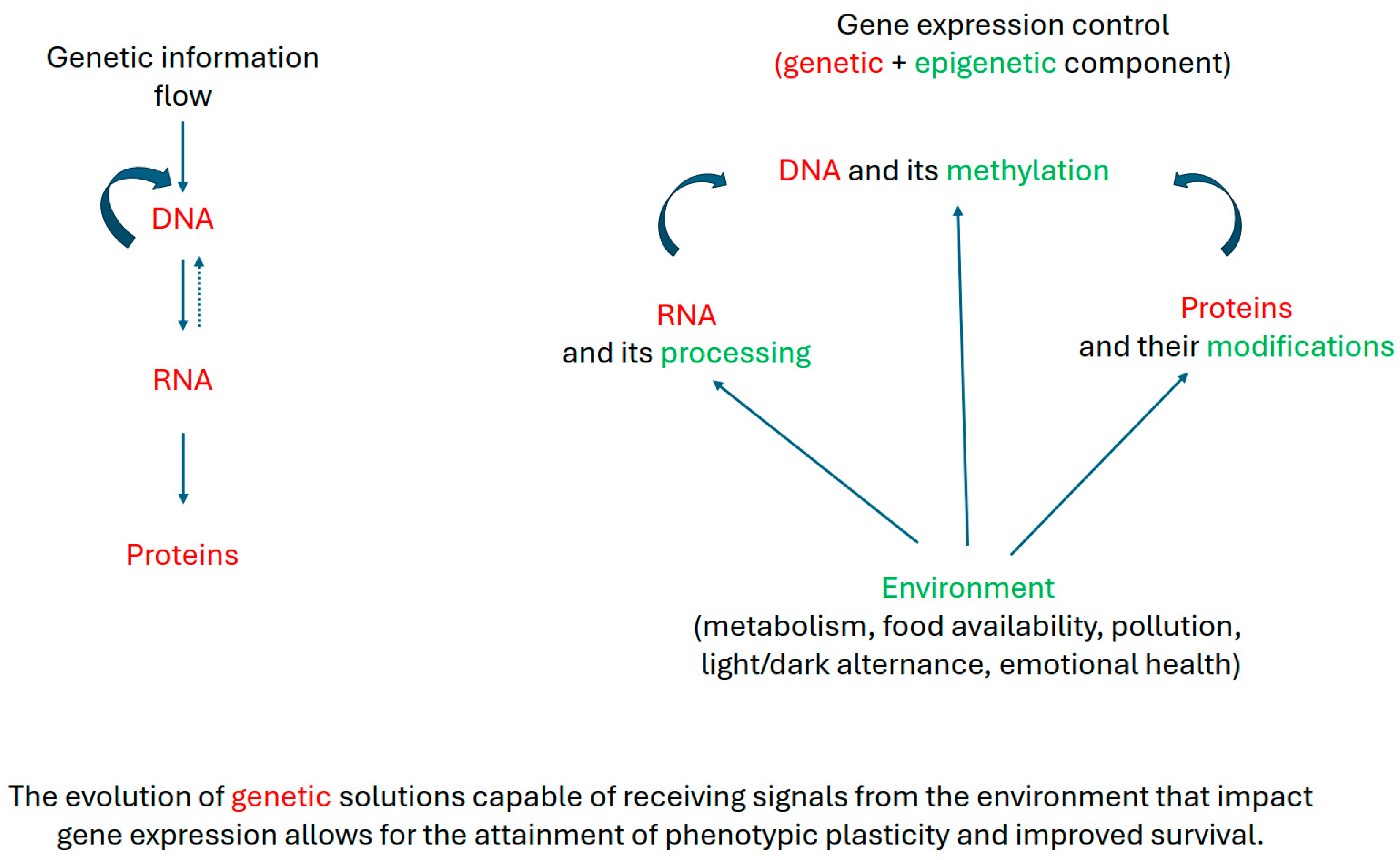 Dna 05 00006 g001 Dna 05 00006 g001