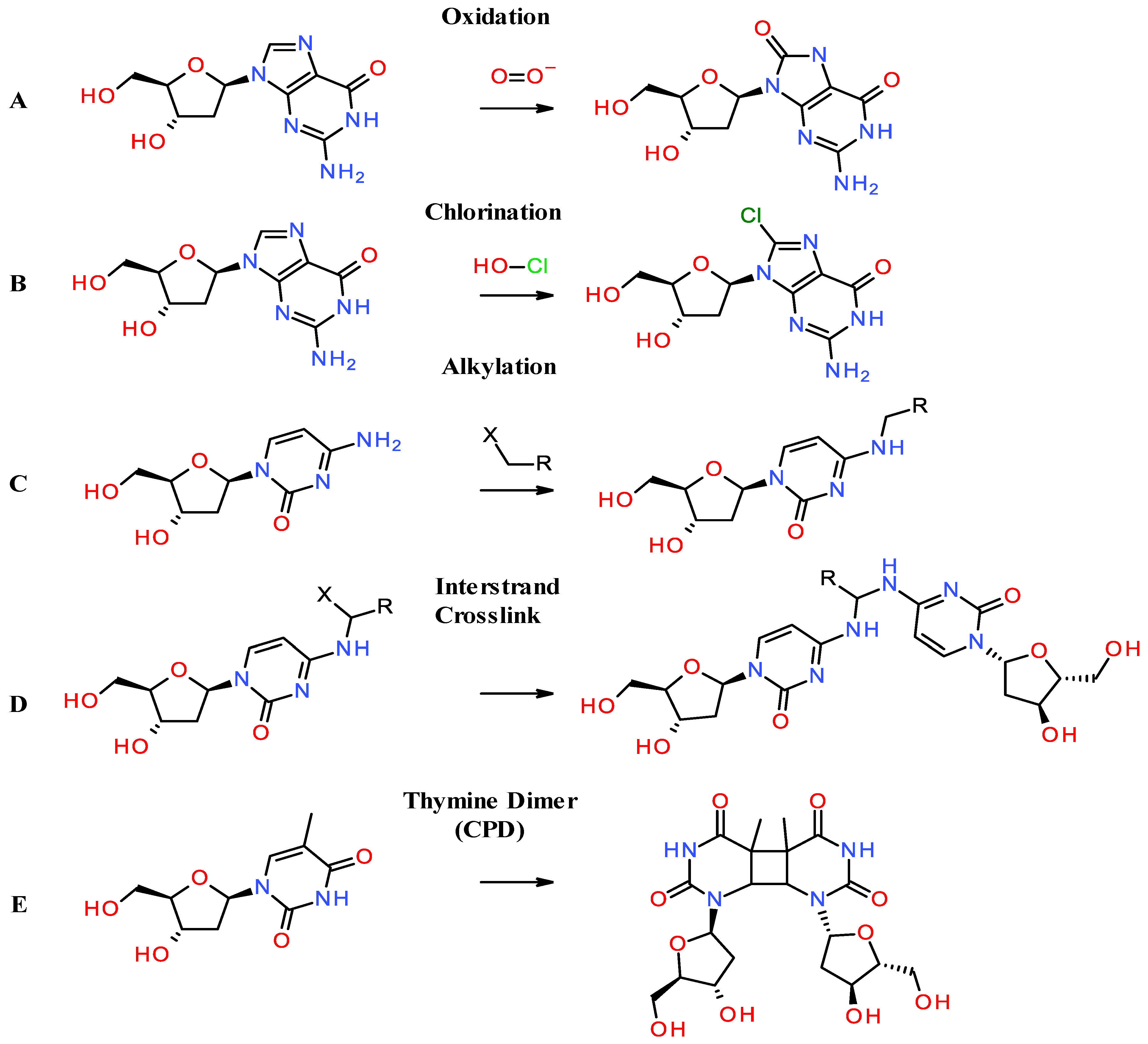 Dna 05 00019 g001 Dna 05 00019 g001