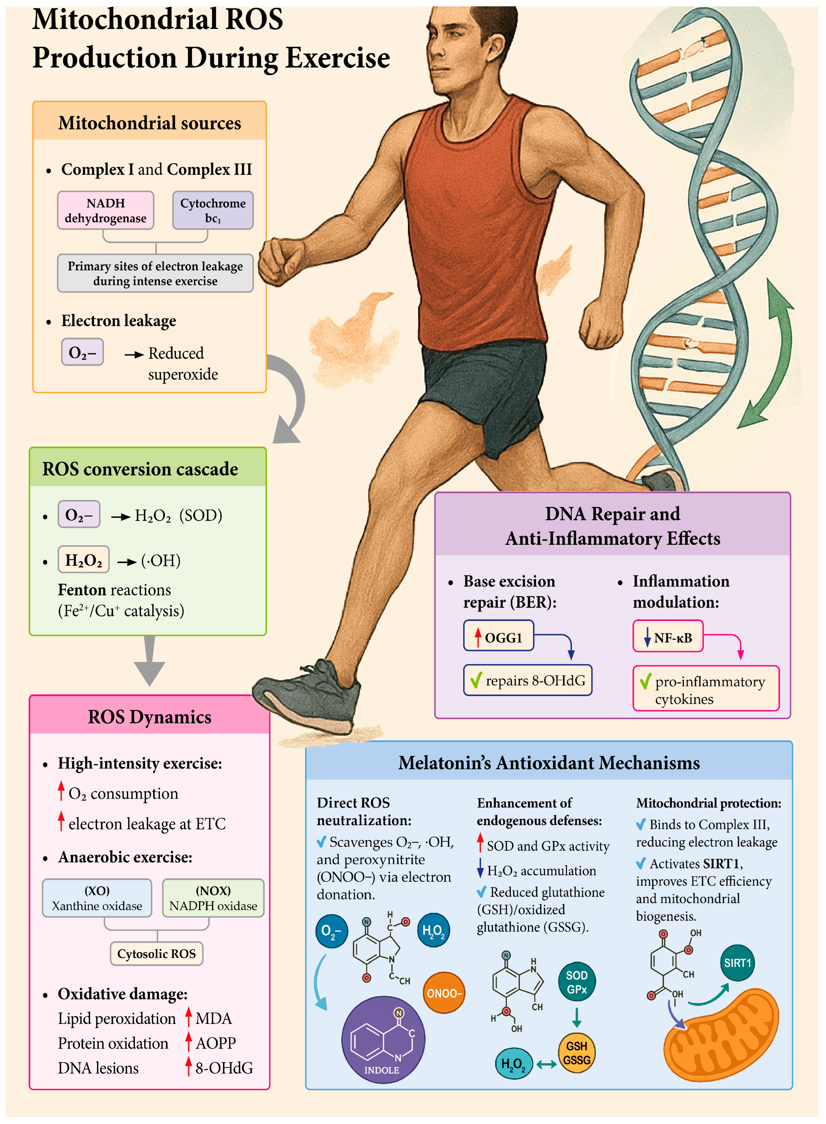 Dna 05 00044 g005 Dna 05 00044 g005