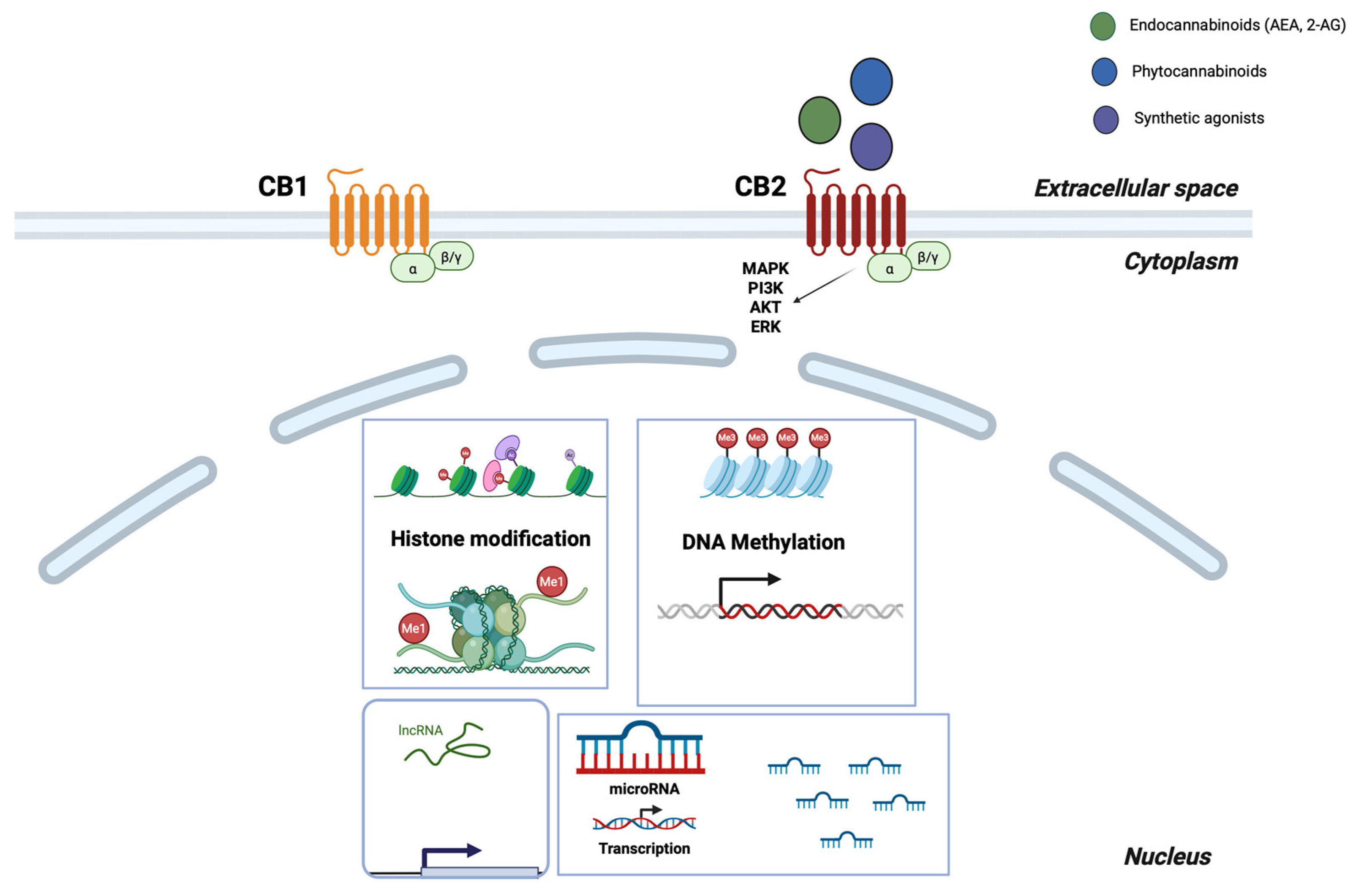 Dna 05 00059 g001 Dna 05 00059 g001