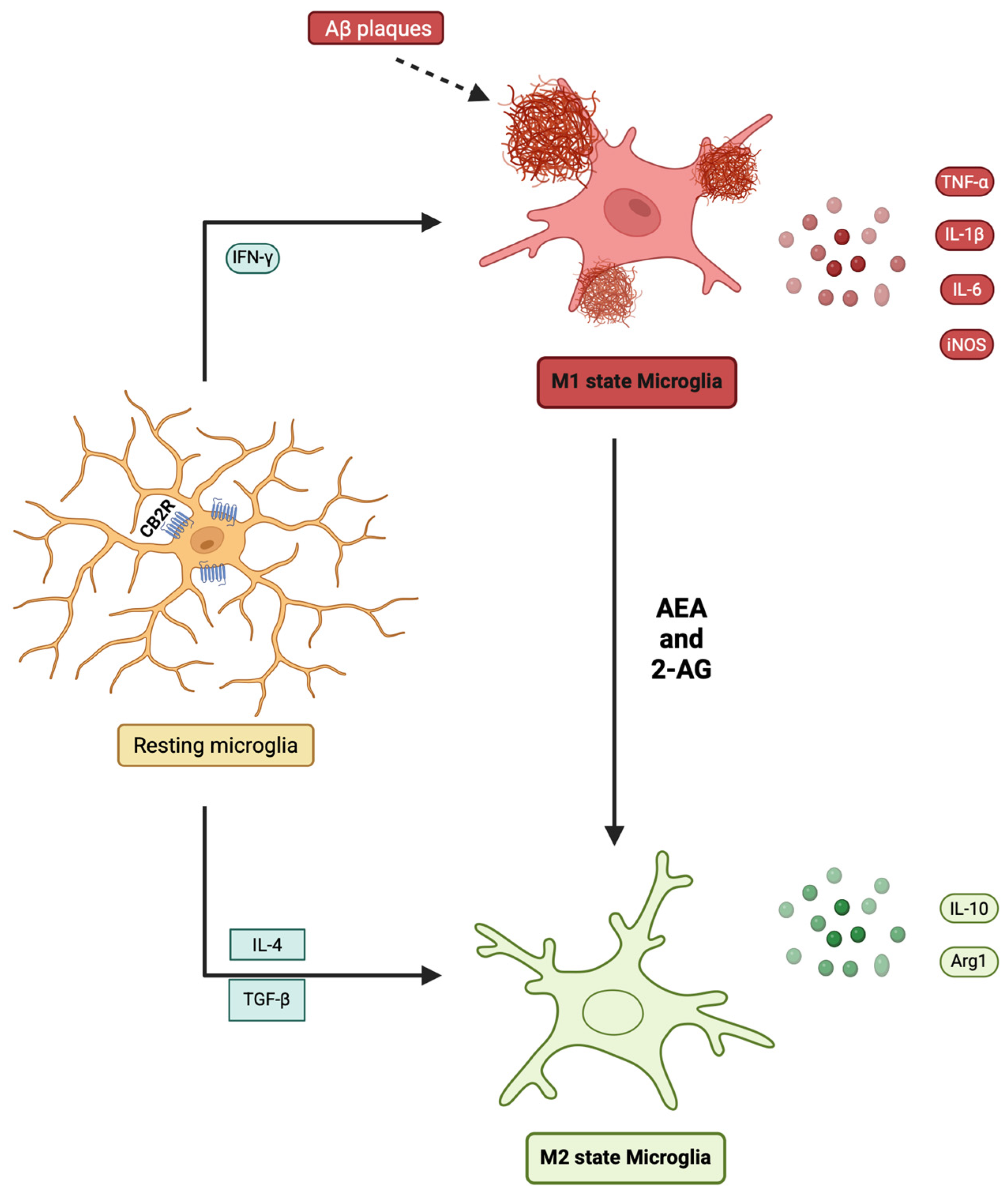 Dna 05 00059 g003 Dna 05 00059 g003