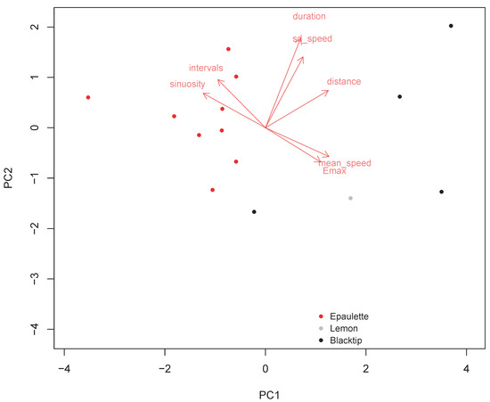 Drones Free Full Text Drone Based High Resolution Tracking Of Aquatic Vertebrates Html