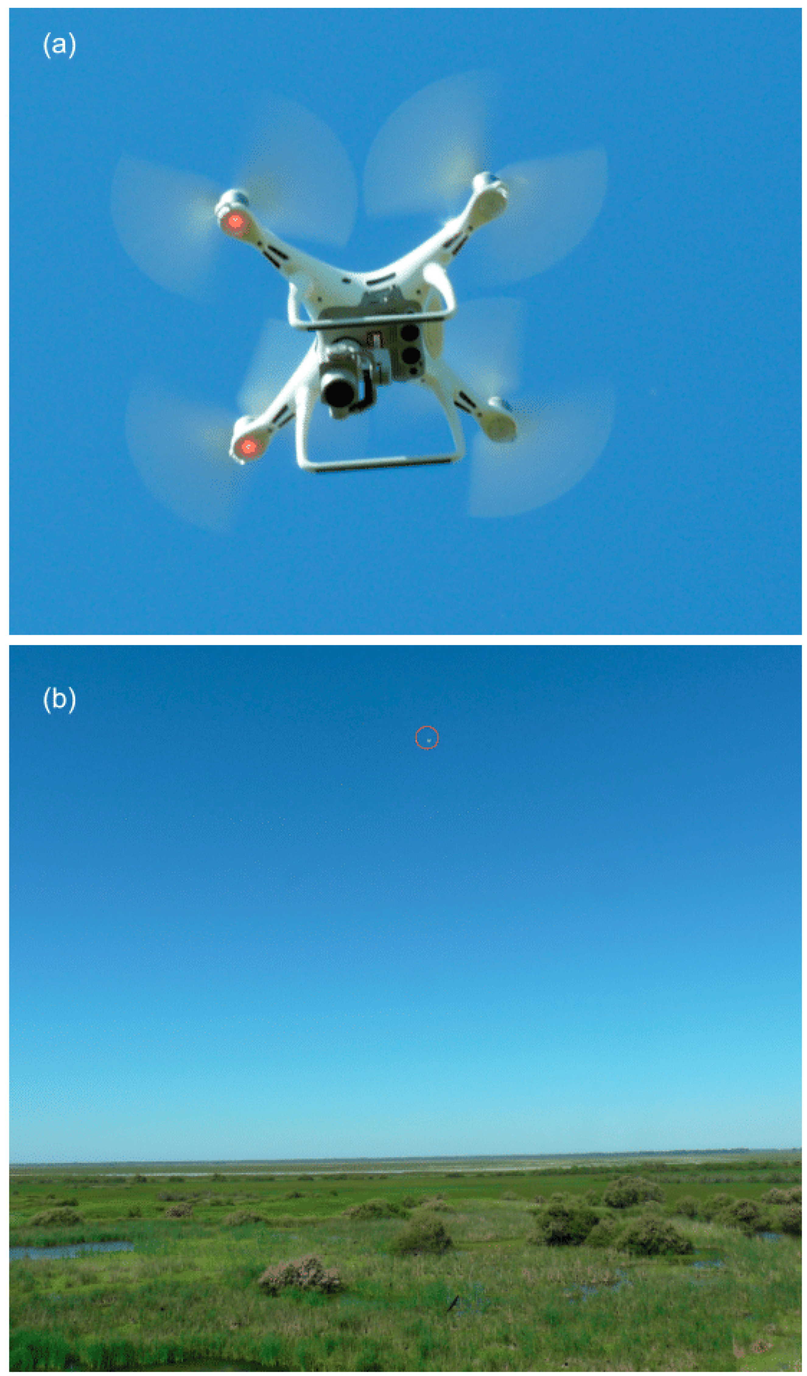 Drones Free Full Text Drone Monitoring Of Breeding Waterbird - figures