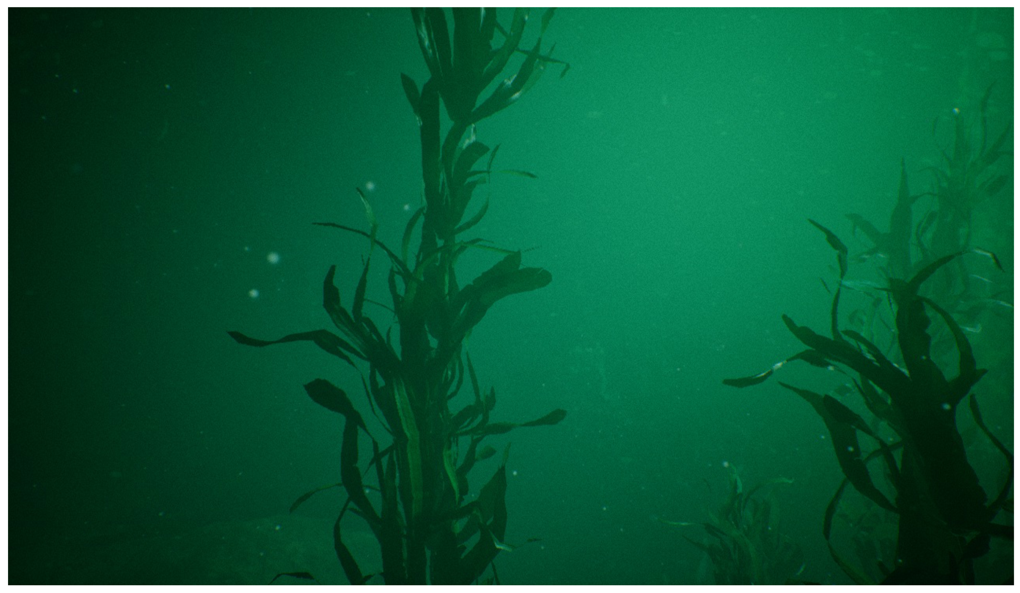 Drones 03 00001 g016