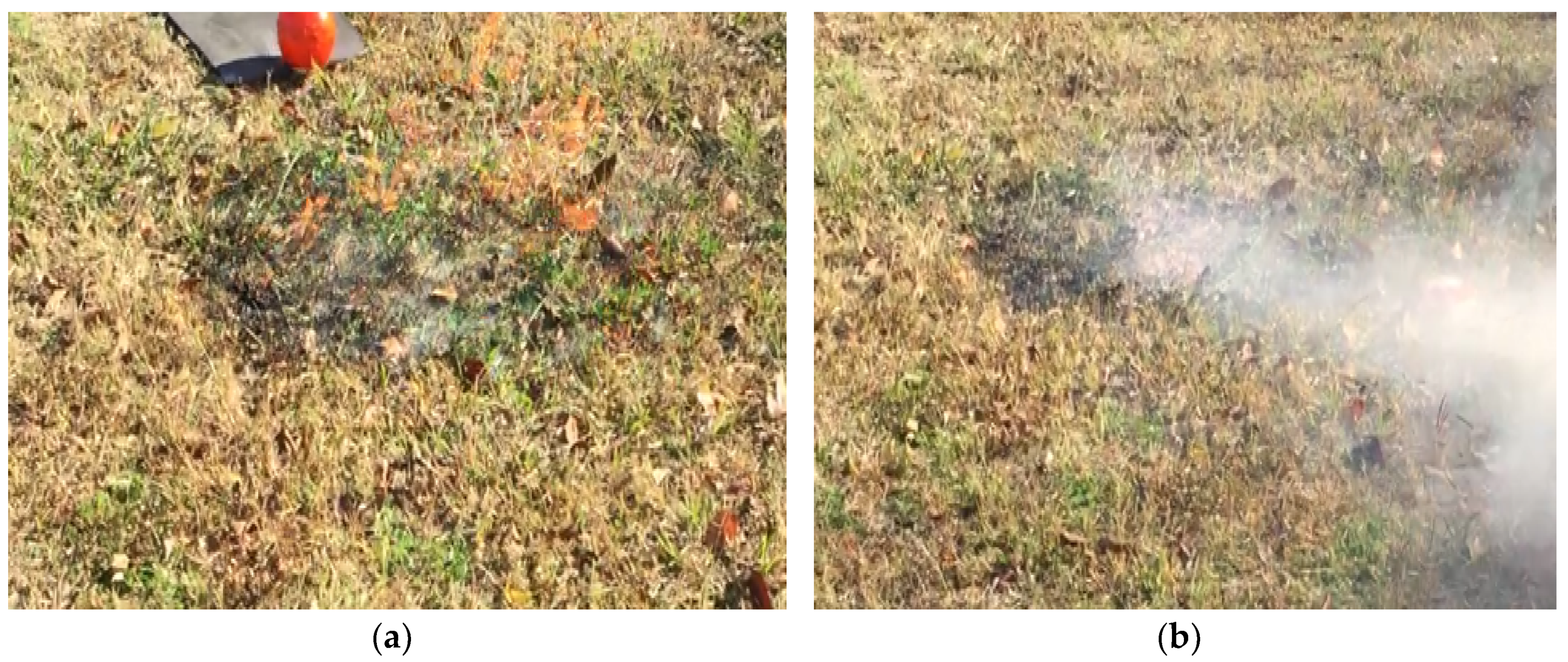 Drones 03 00017 g004 550