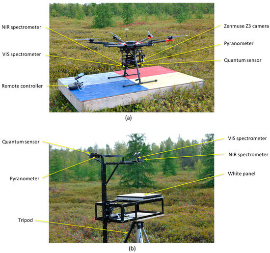 A UAV-Based Sensor System for Measuring Land Surface Albedo: Tested ...
