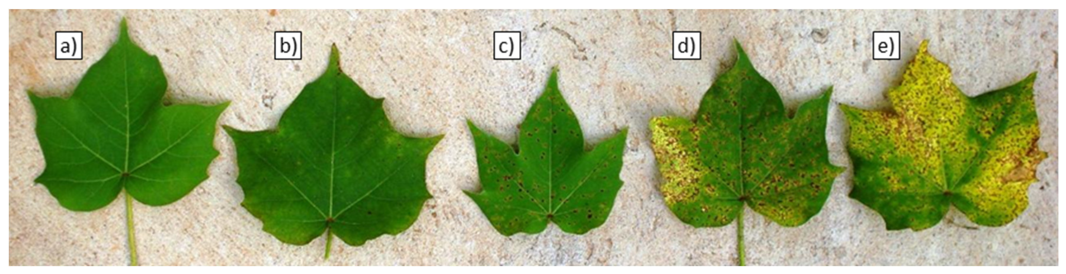 Drones 03 00033 g003