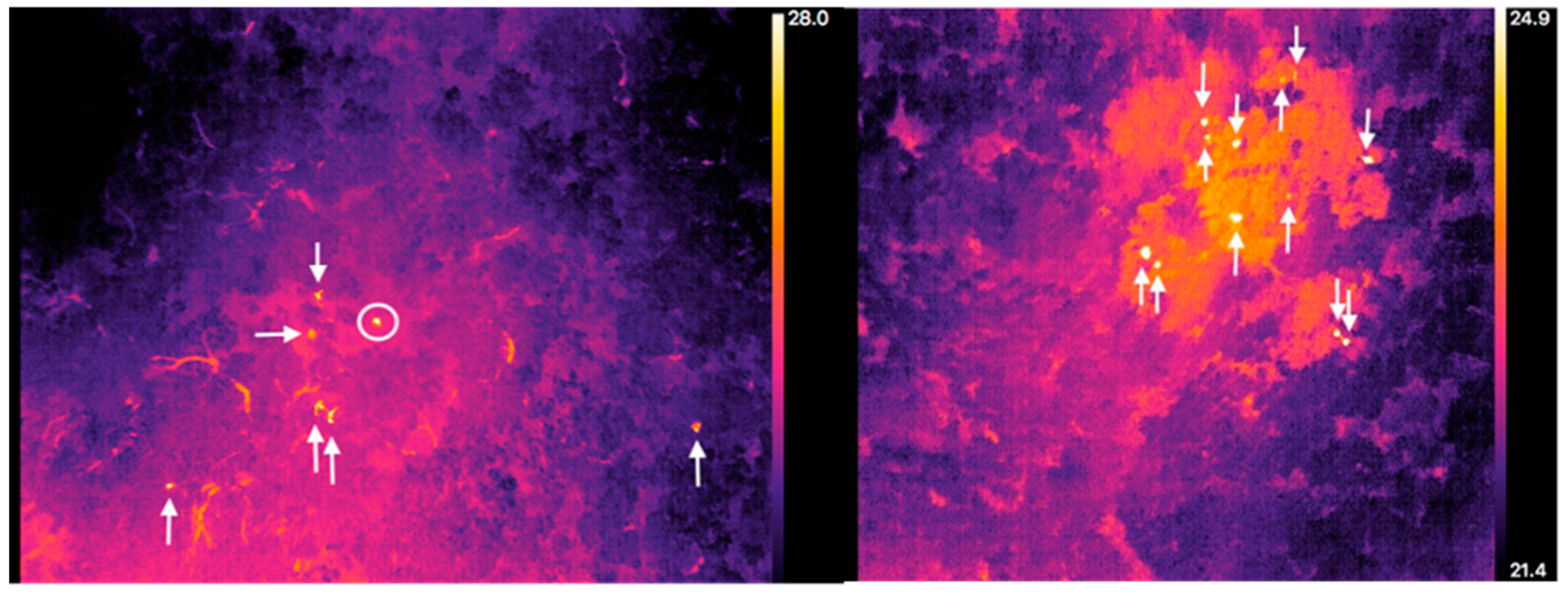 Thermal imagery drone discount