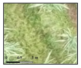 Drones 03 00036 i001 Drones 03 00036 i001