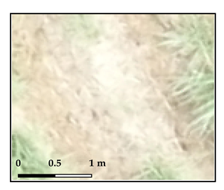 Drones 03 00036 i002 Drones 03 00036 i002