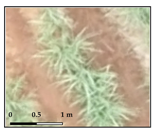 Drones 03 00036 i004 Drones 03 00036 i004