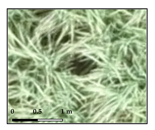 Drones 03 00036 i005 Drones 03 00036 i005