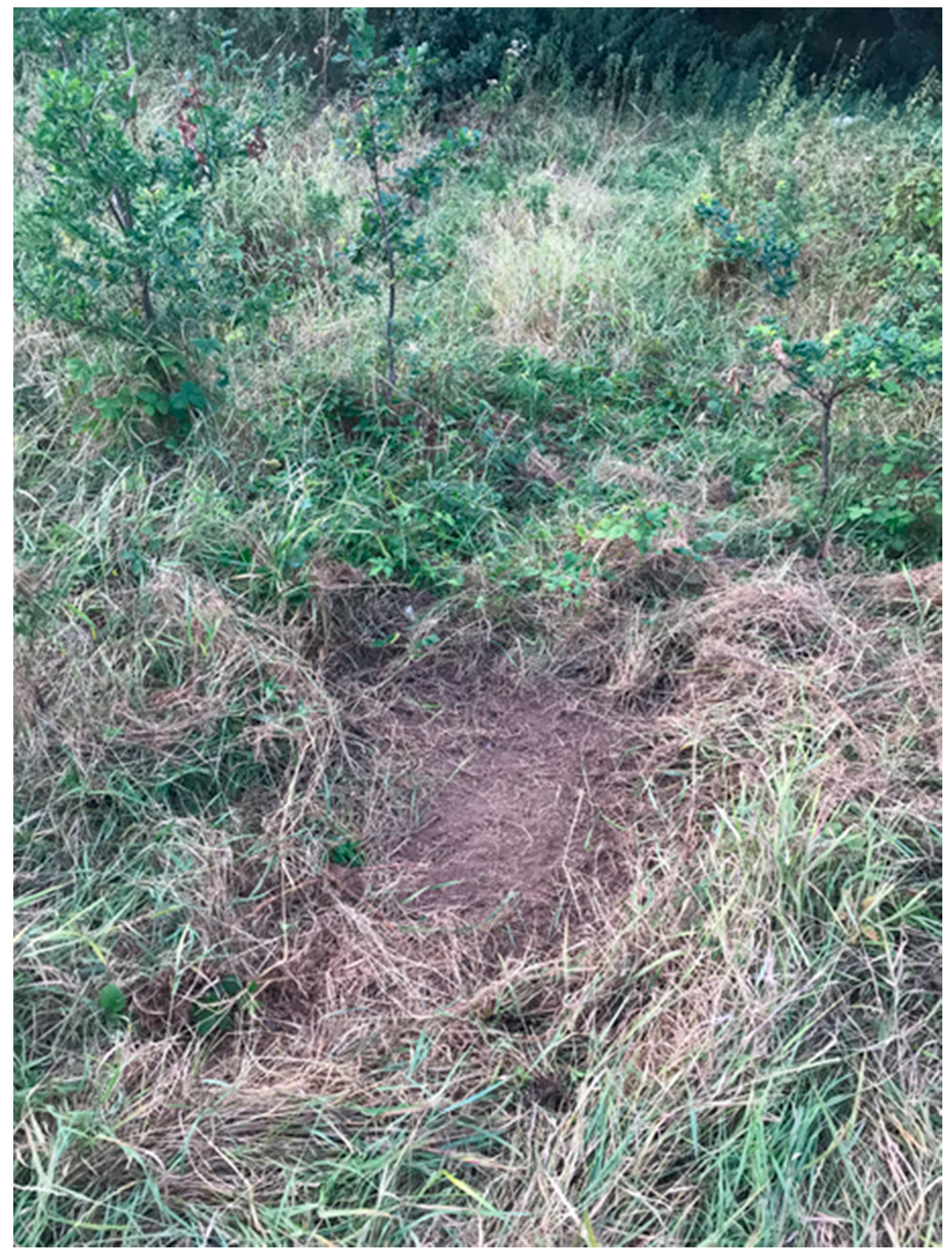 Drones 03 00050 g002 Drones 03 00050 g002