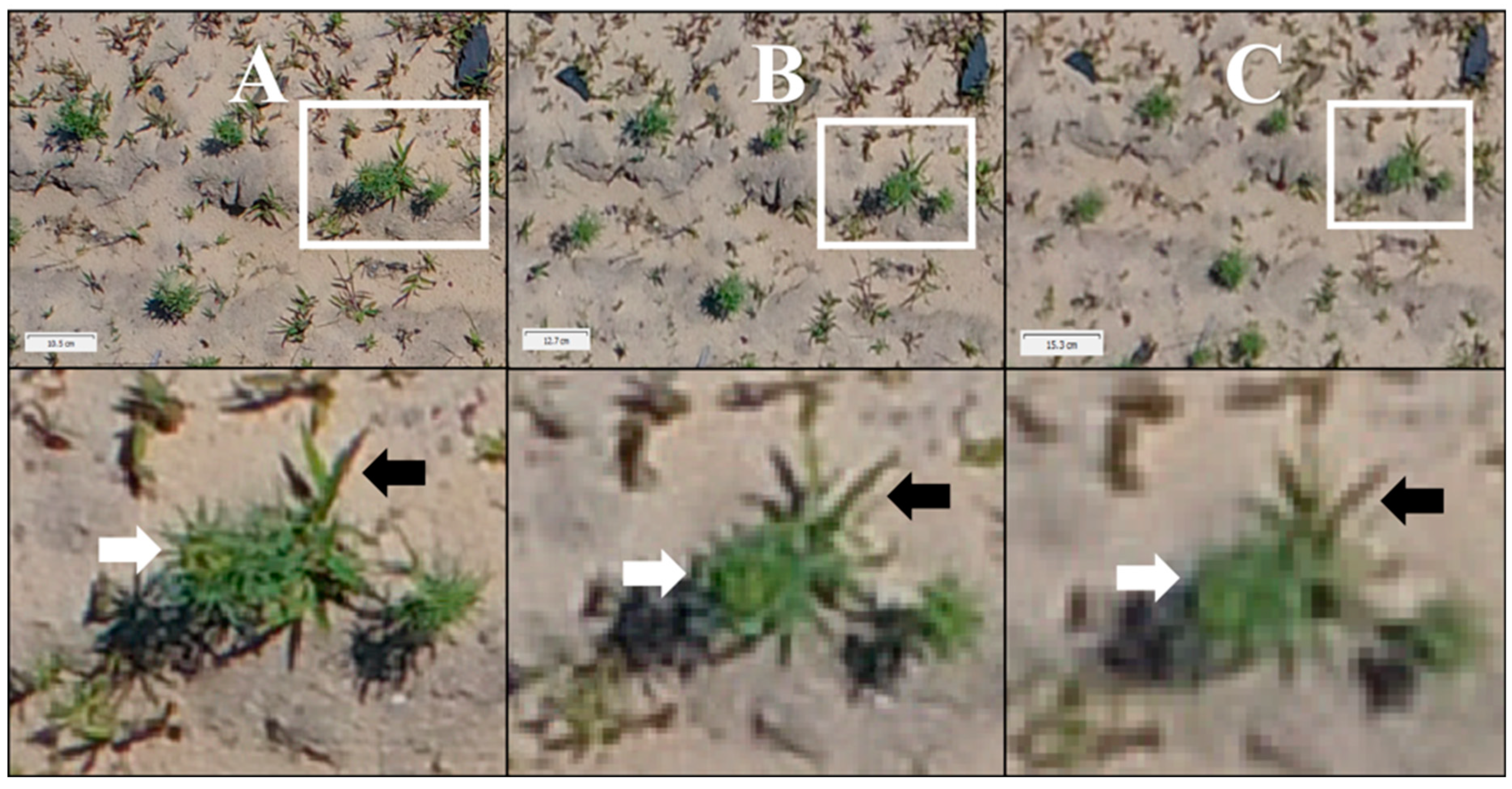 Drones 03 00053 g004