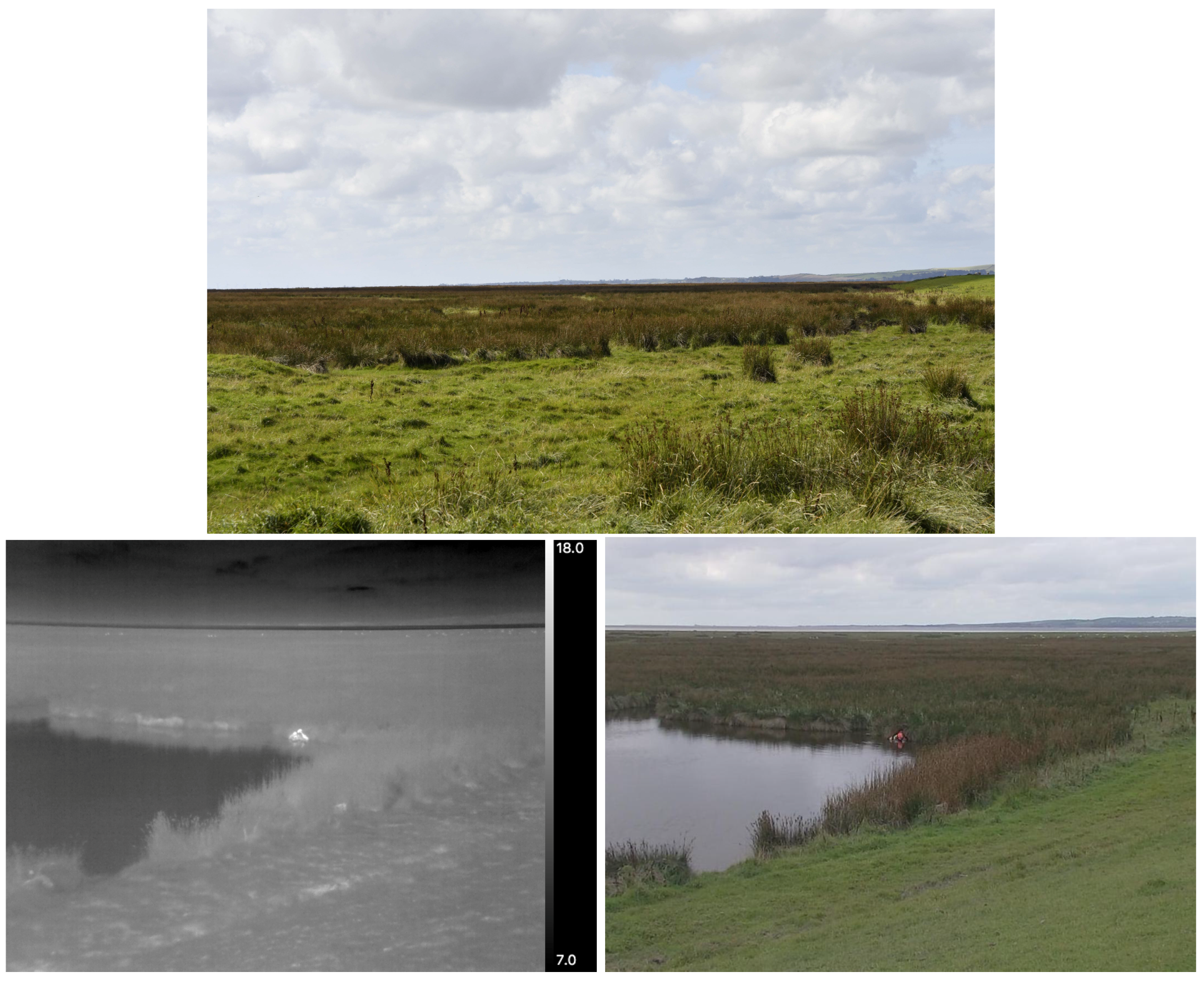 Drones 03 00078 g001