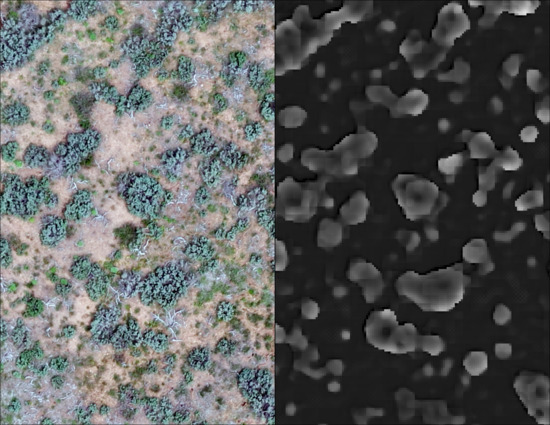 Measuring Height Characteristics of Sagebrush (Artemisia sp.) Using Imagery Derived from Small Unmanned Aerial Systems (sUAS)