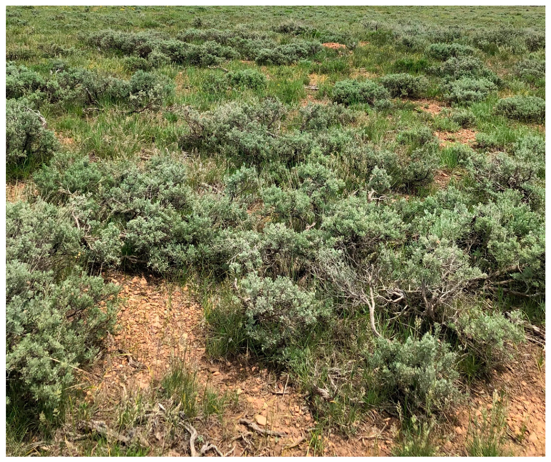 Drones 04 00006 g002 Drones 04 00006 g002