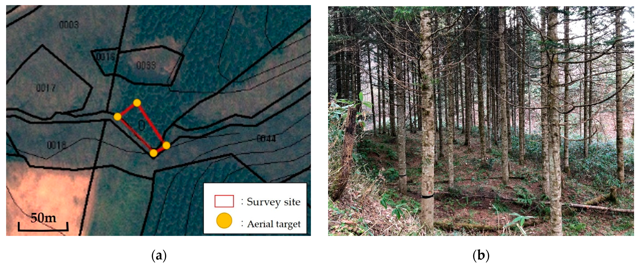 Drones 04 00019 g001