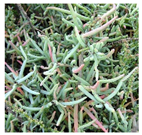 Drones 04 00025 i002 Drones 04 00025 i002