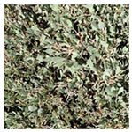 Drones 04 00025 i005 Drones 04 00025 i005