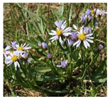 Drones 04 00025 i006 Drones 04 00025 i006